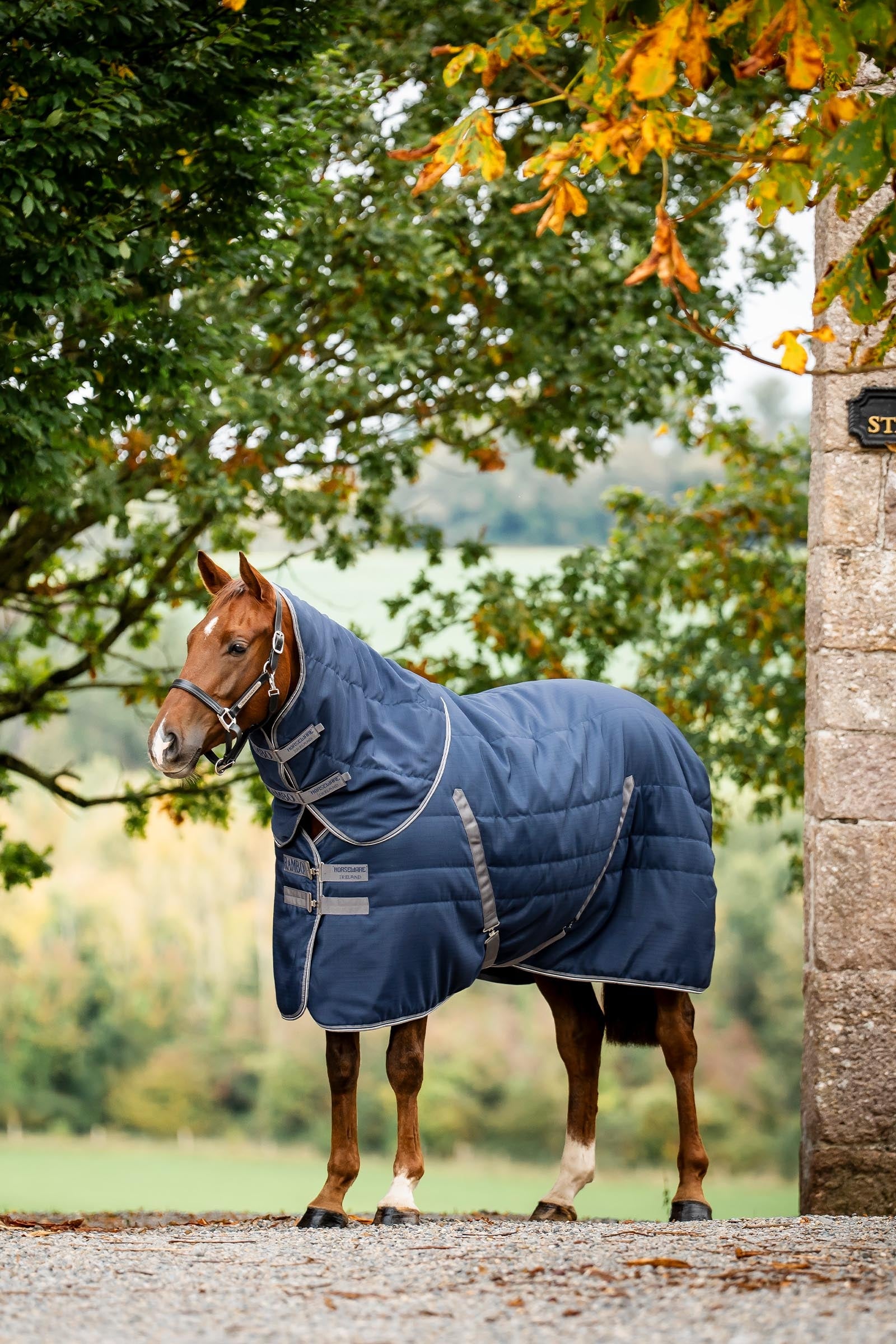 Horseware Rambo Stable 100 g Horse Rugs