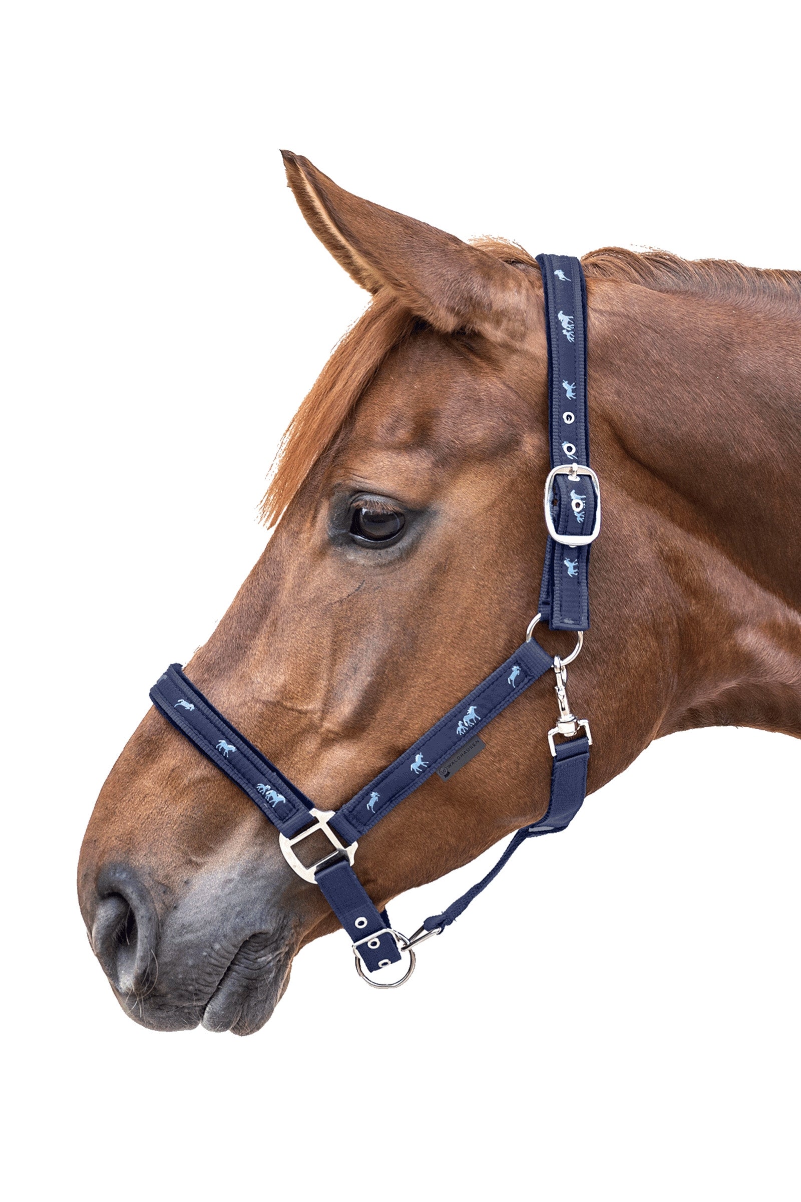 Waldhausen Little Horse Motiv Halter Halters & Leads