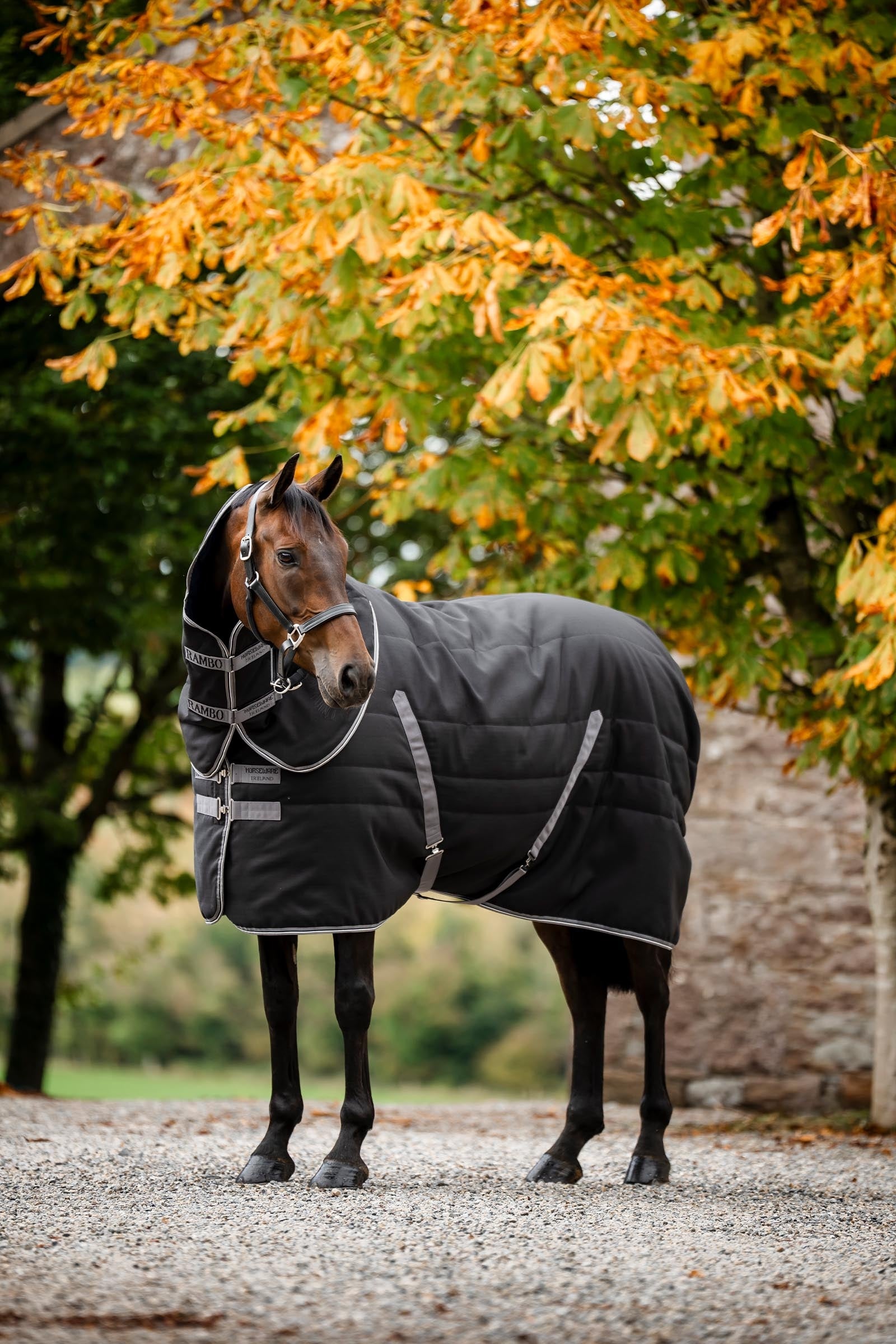 Horseware Rambo Stable 400 g Horse Rugs