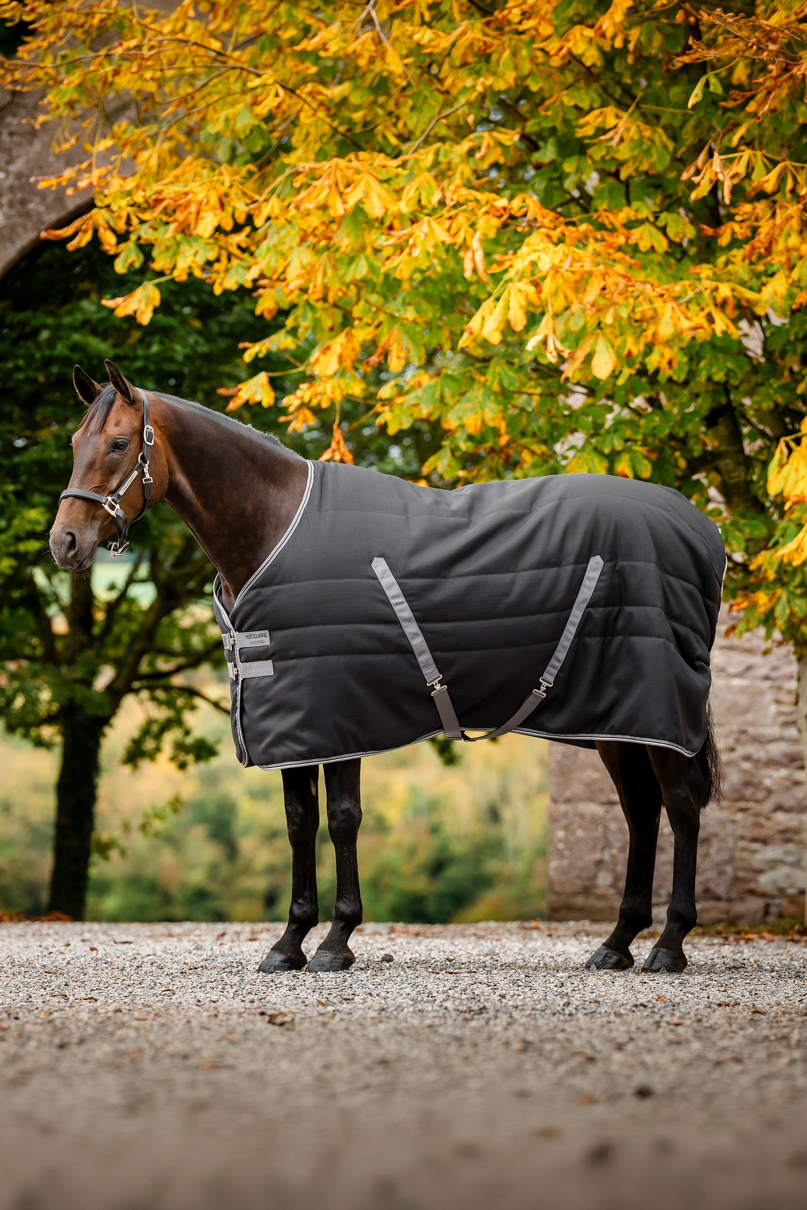 Lifestyle shot 2
