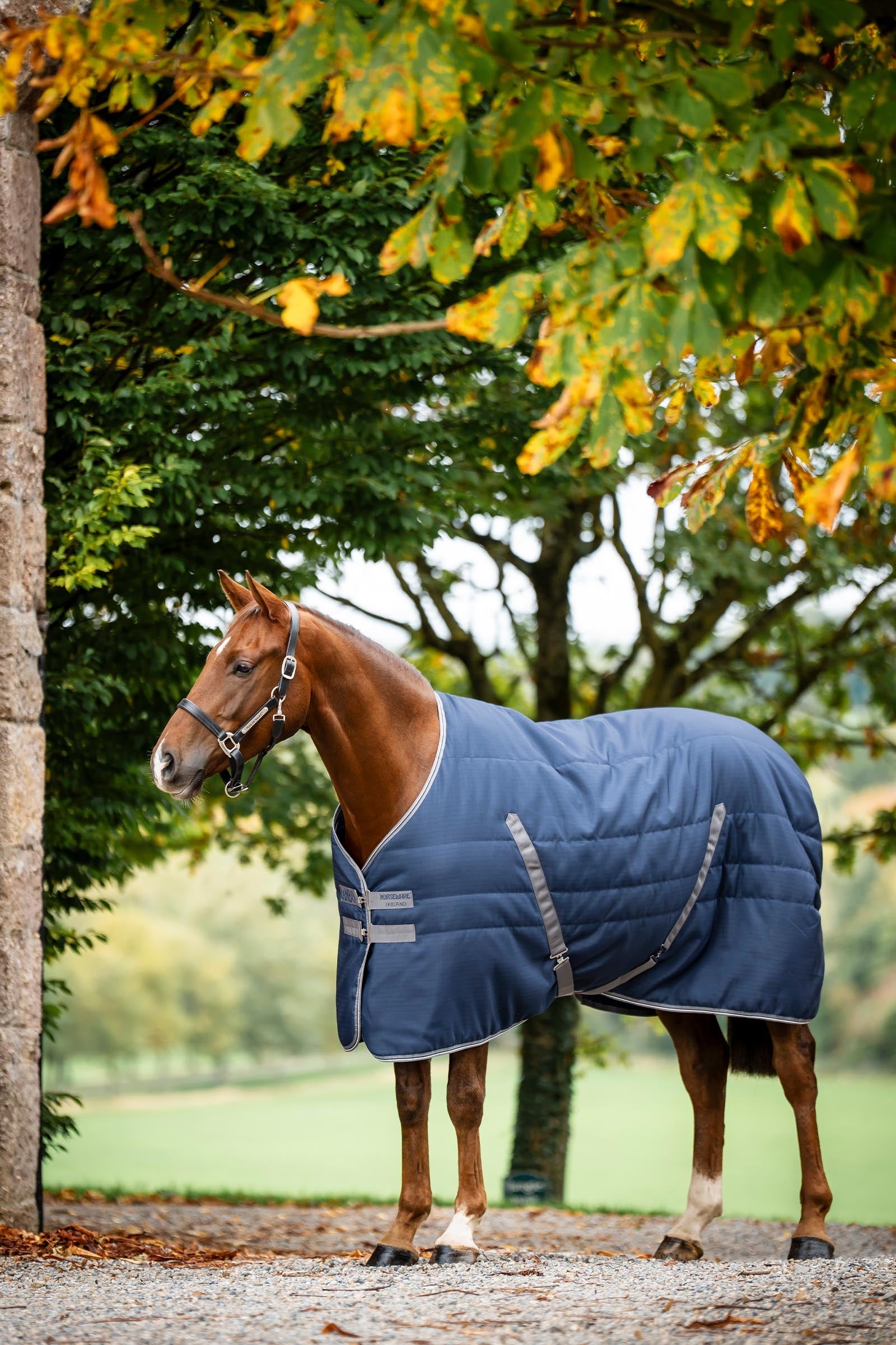 Horseware Rambo Stable 400 g Horse Rugs