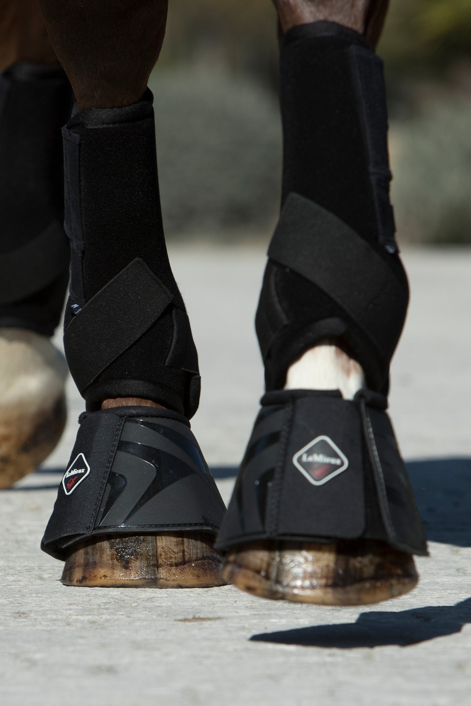 LeMieux Ultra Support Boots Leg Protection & Hoof Protection for Horses