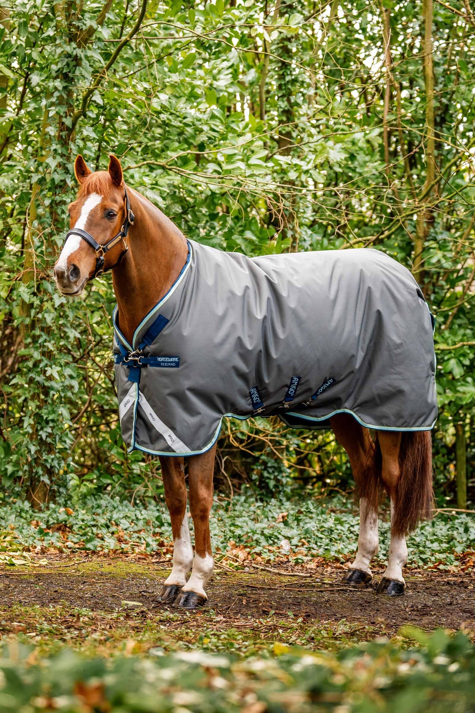 Horseware Amigo Bravo 12 Plus udedækken med aftagelig hals, 400g Hestedækken