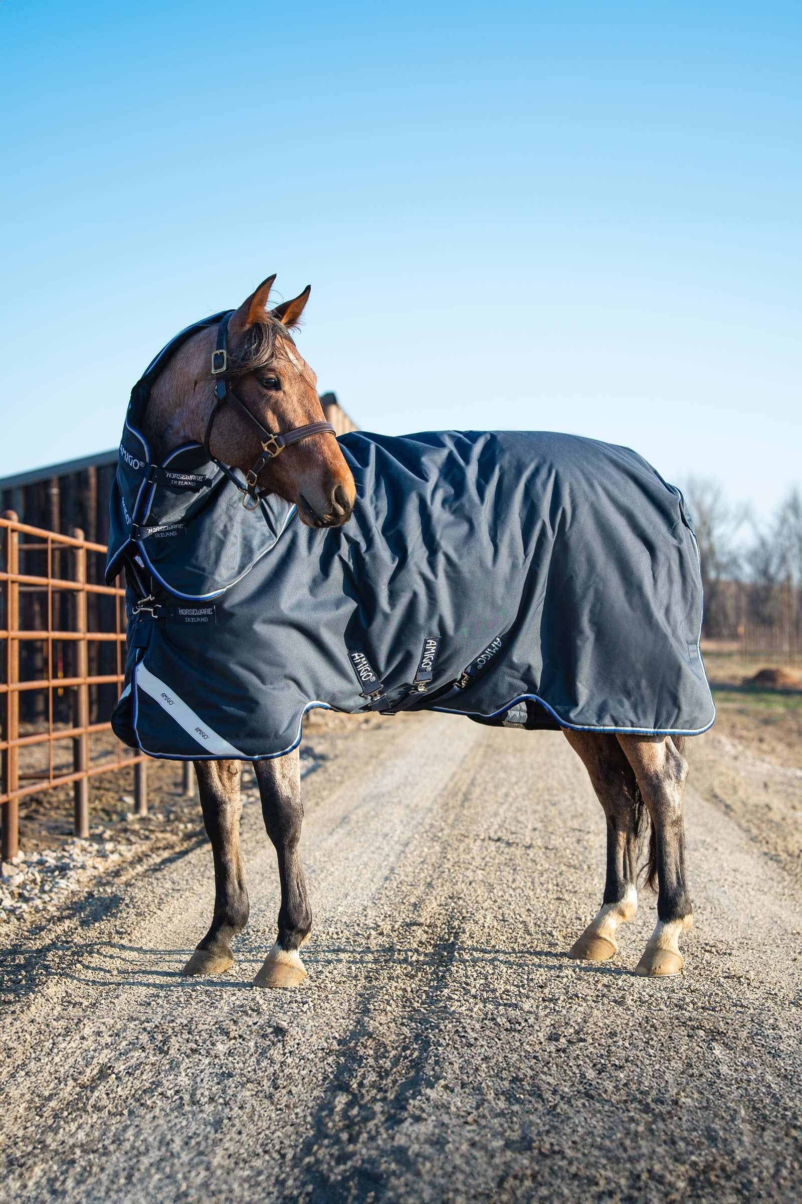 Horseware Amigo Bravo 12 Plus udedækken med aftagelig hals, 400g Hestedækken