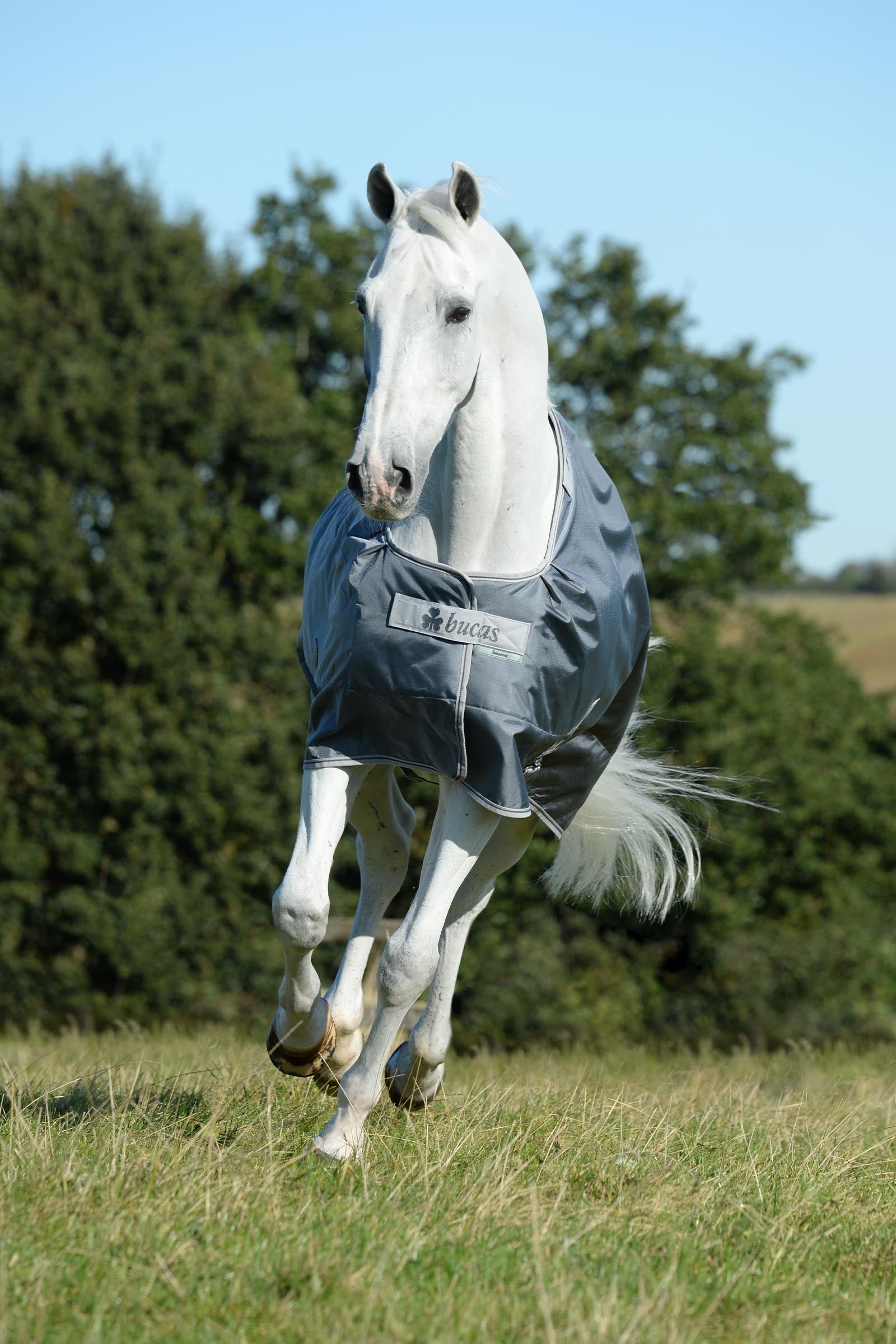 Bucas Smartex Medium Big Neck Horse Rugs