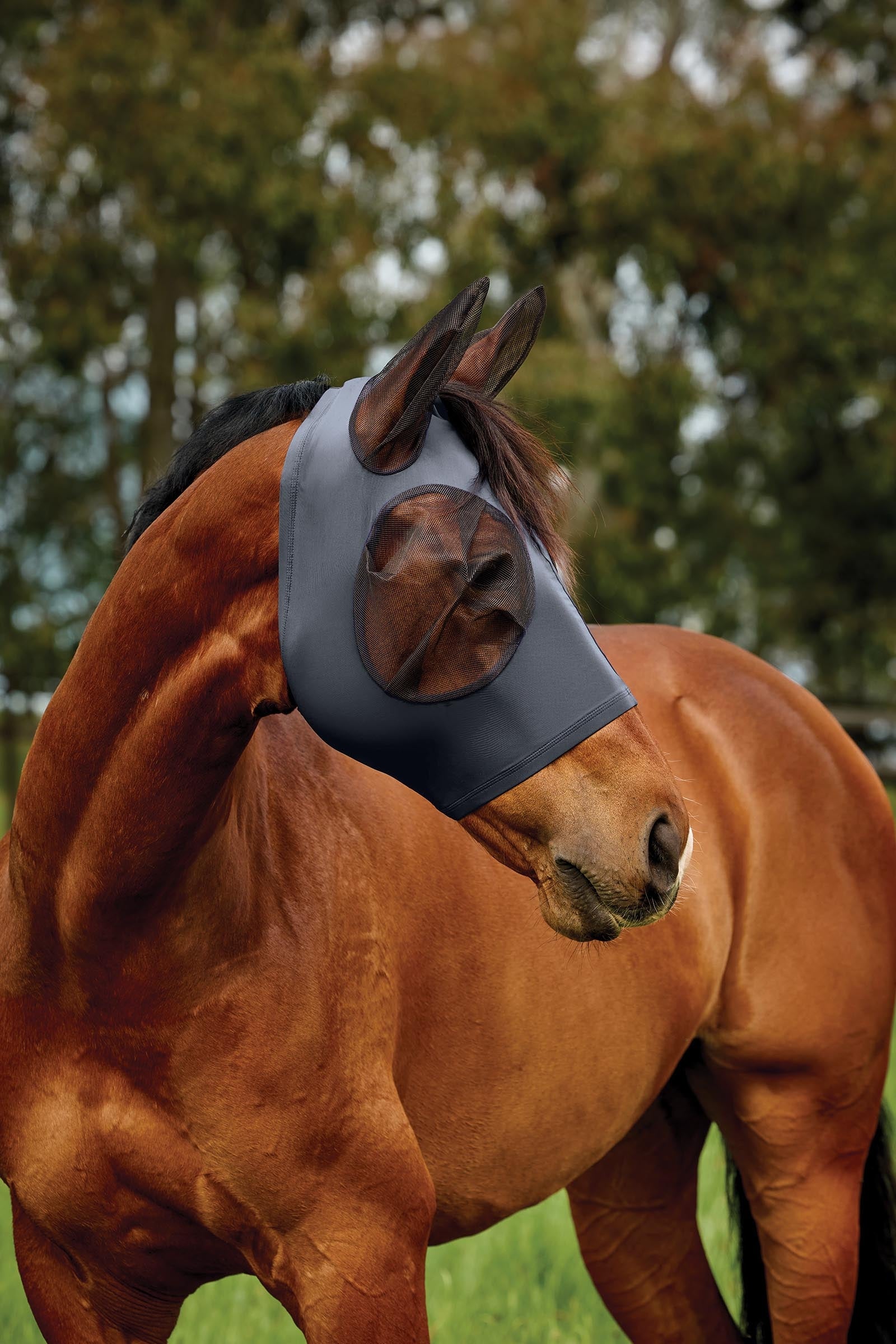 Weatherbeeta Comfitec Deluxe Stretch Fly Mask With Ears Antifly Protection for Horses