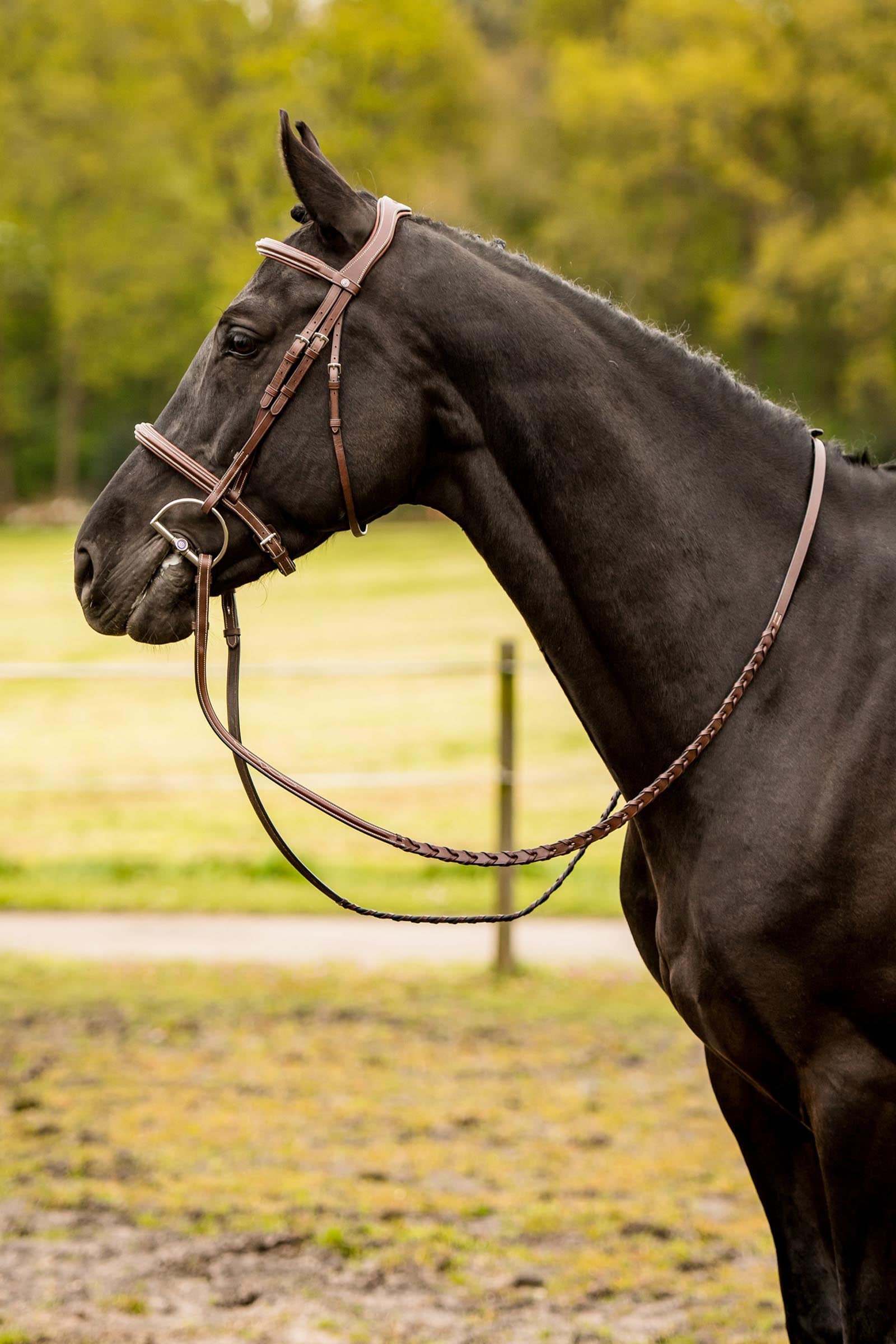 Trust Equestrian Hunter Bridle Kentucky Bridles & Reins