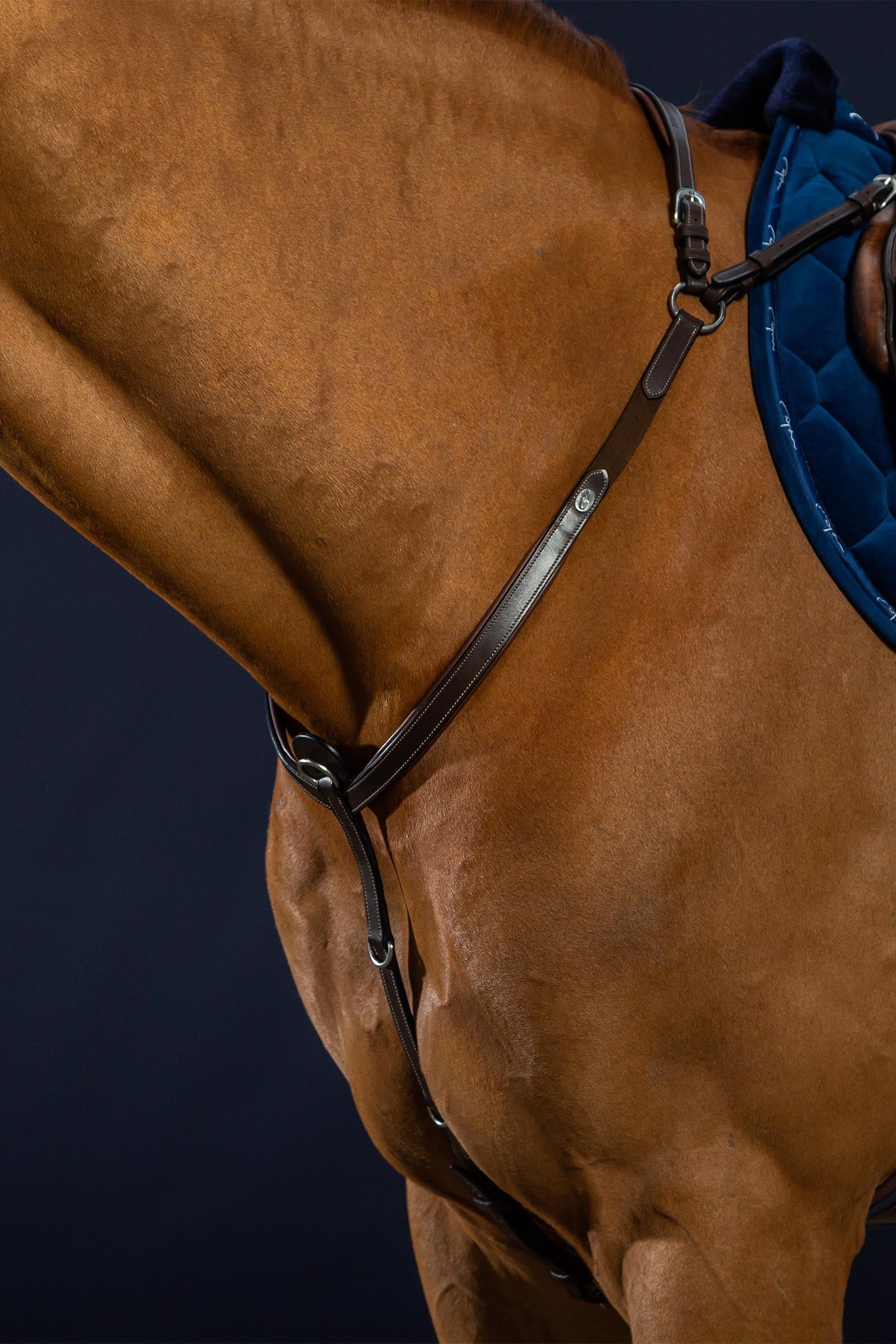 Dy'on Working Bridge Breastplate  Bridles & Reins