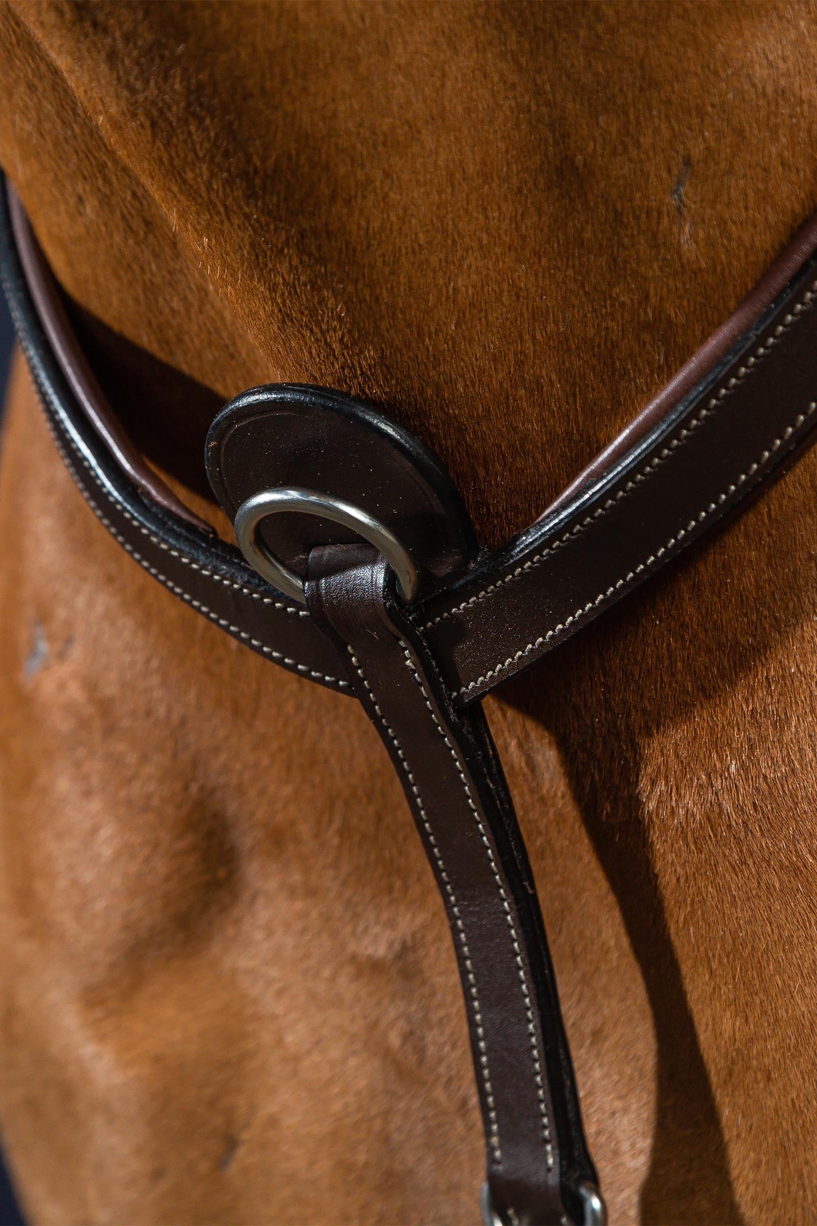 Dy'on Working Bridge Breastplate  Bridles & Reins