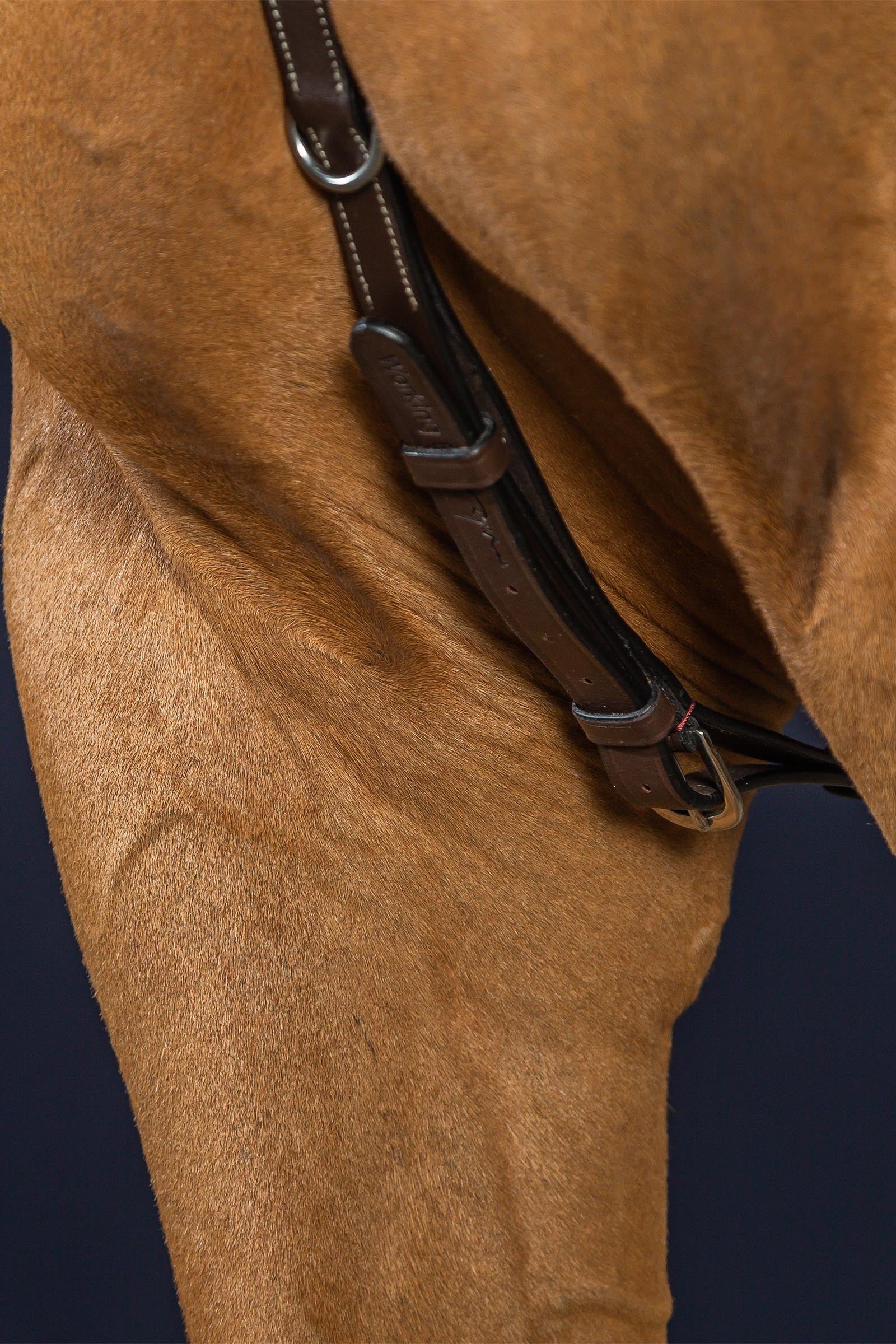 Dy'on Working Bridge Breastplate  Bridles & Reins