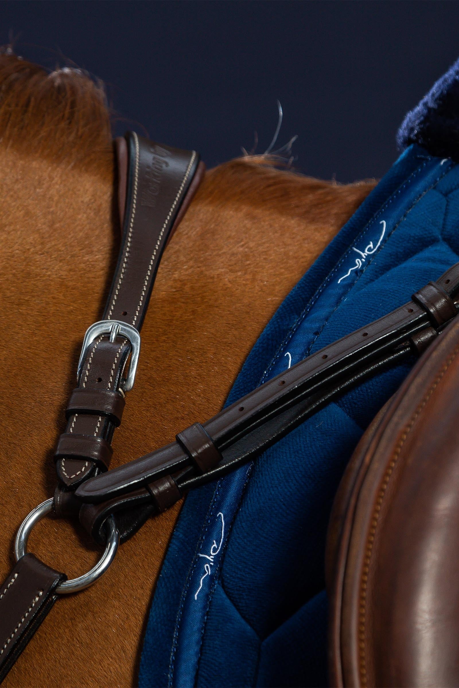 Dy'on Working Bridge Breastplate  Bridles & Reins