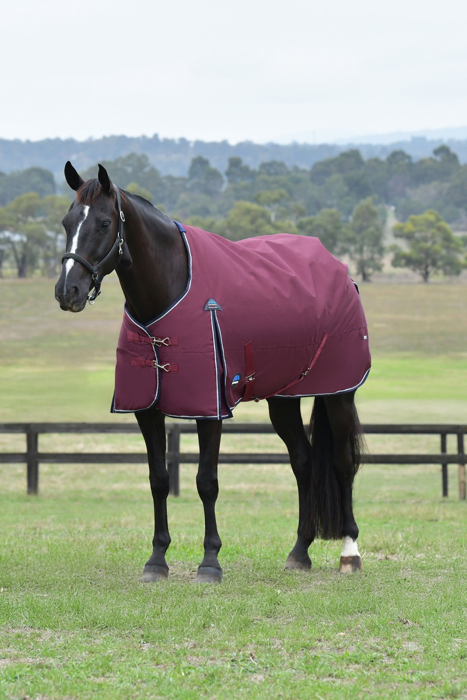 Weatherbeeta ComFiTec Essential Turnout Standard Neck 50G Hestedækken