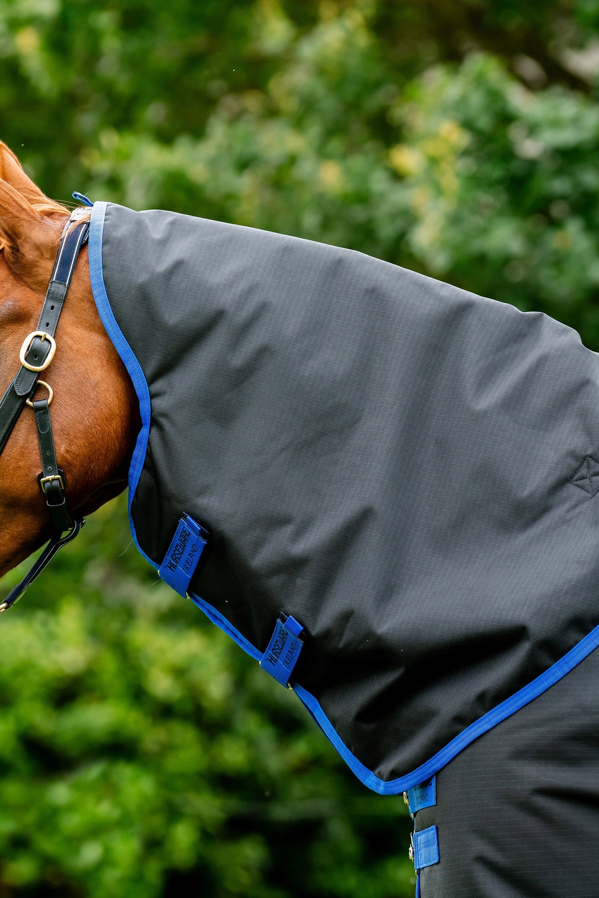 Horseware Amigo Ripstop 900D Turnout Hood, 0 g Horse Rugs