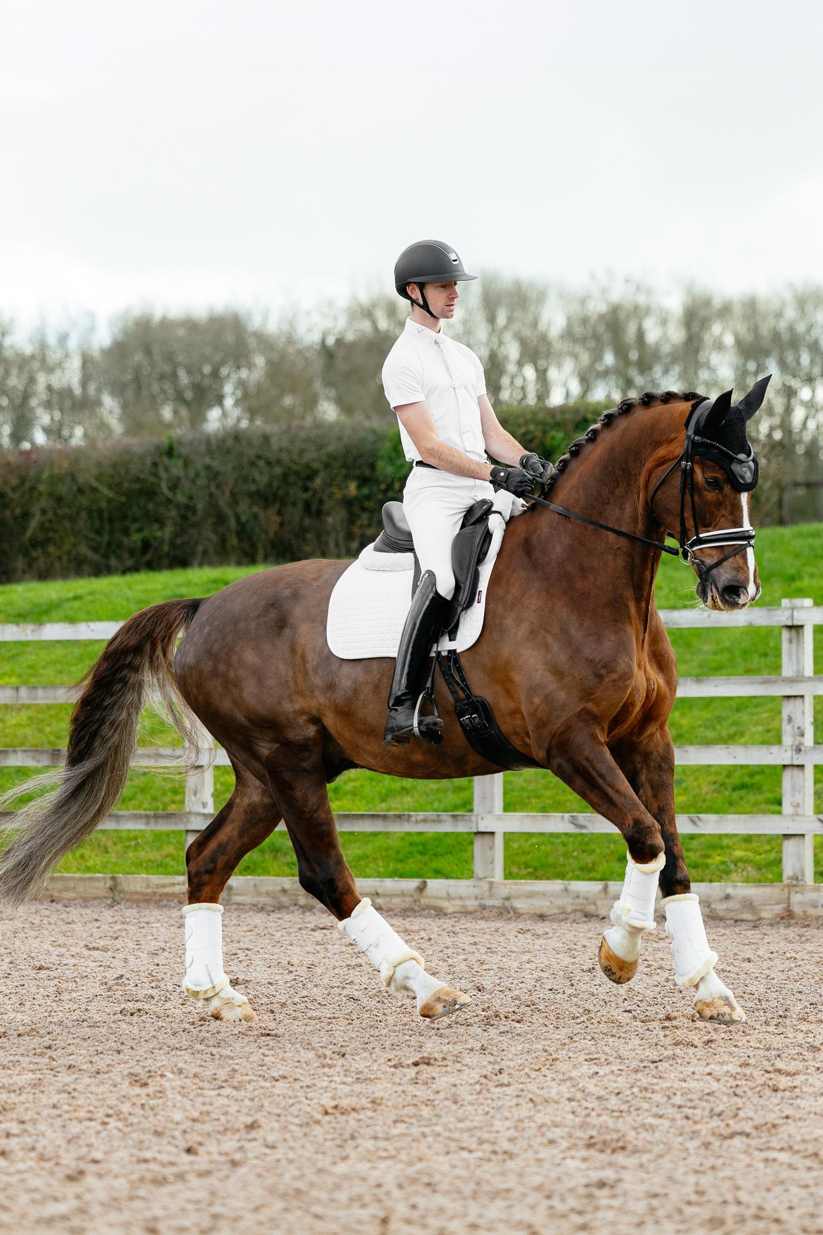 LeMieux Suede Dressage Square Saddle Pad Saddle Pads