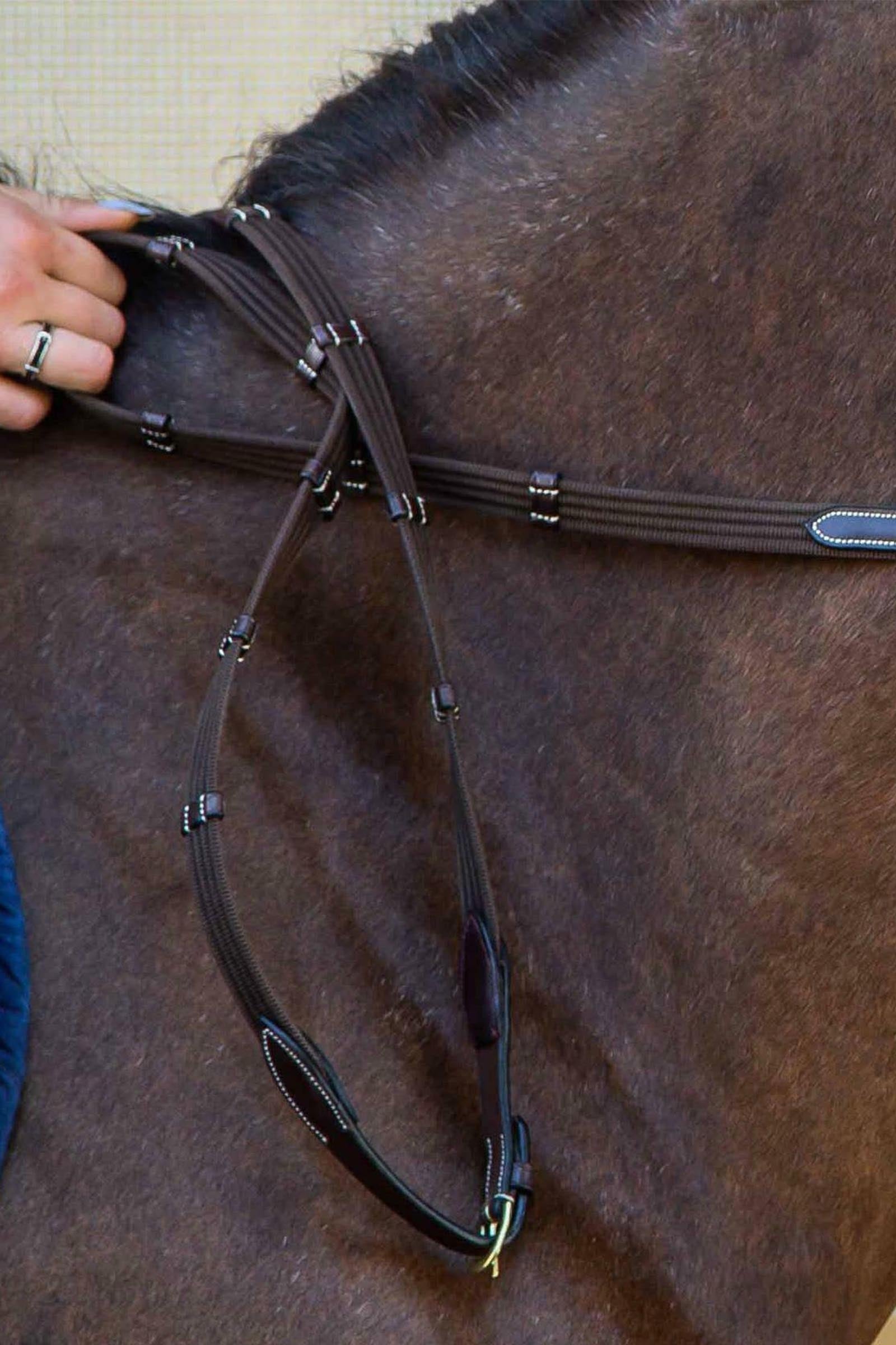Dy'on D Collection 5/8 Web Reins With 9 Leather Loops  Bridles & Reins
