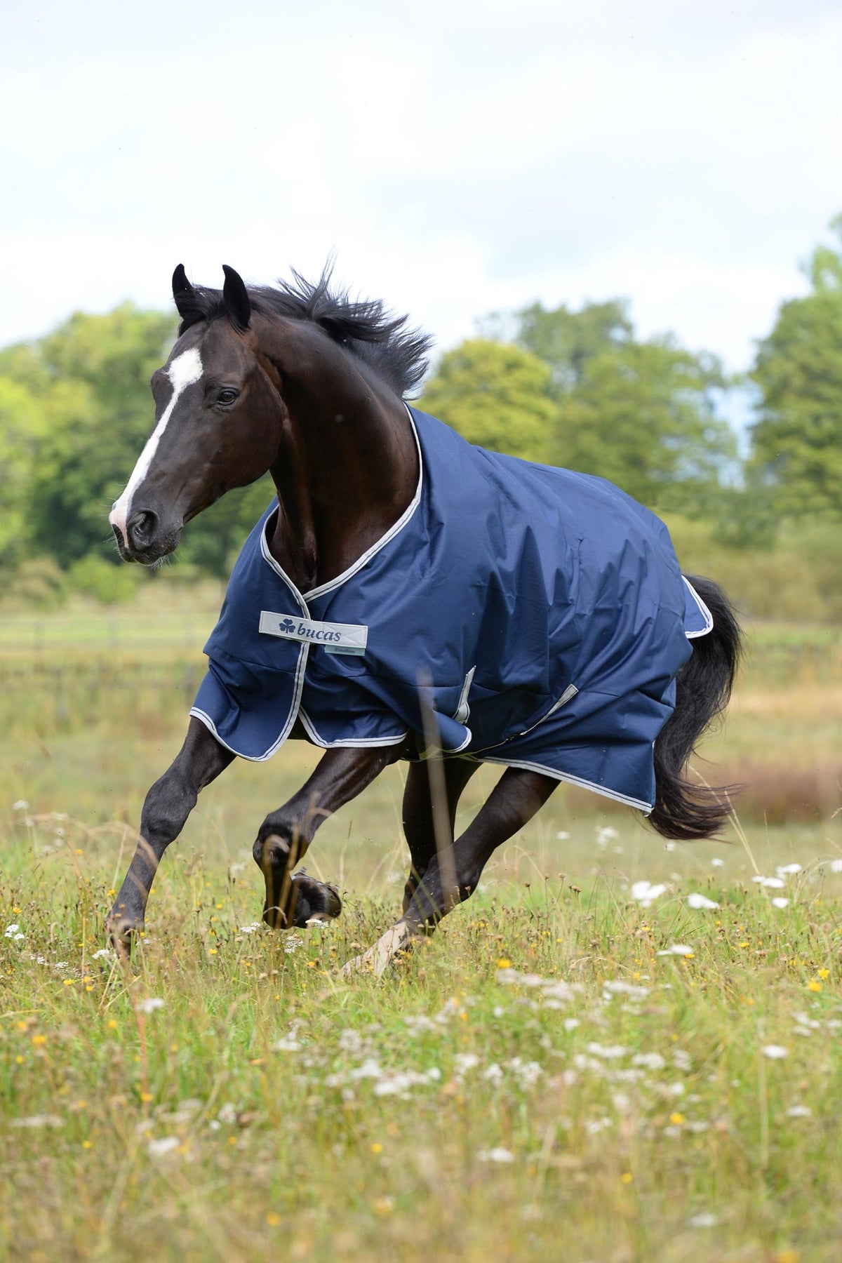 Bucas Freedom Turnout 50g Horse Rugs