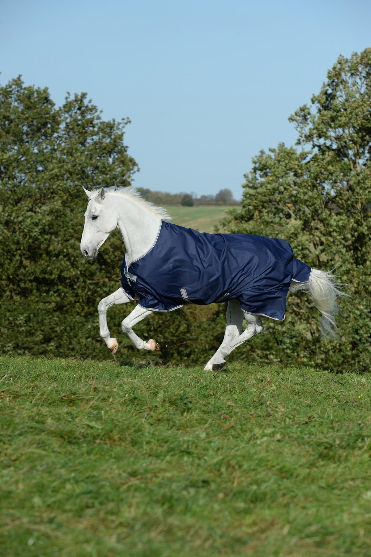 Bucas Freedom Turnout 50g Horse Rugs