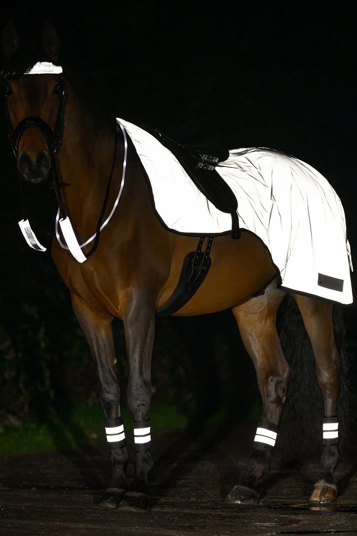 Waldhausen REFLEX Bandages Set Reflective