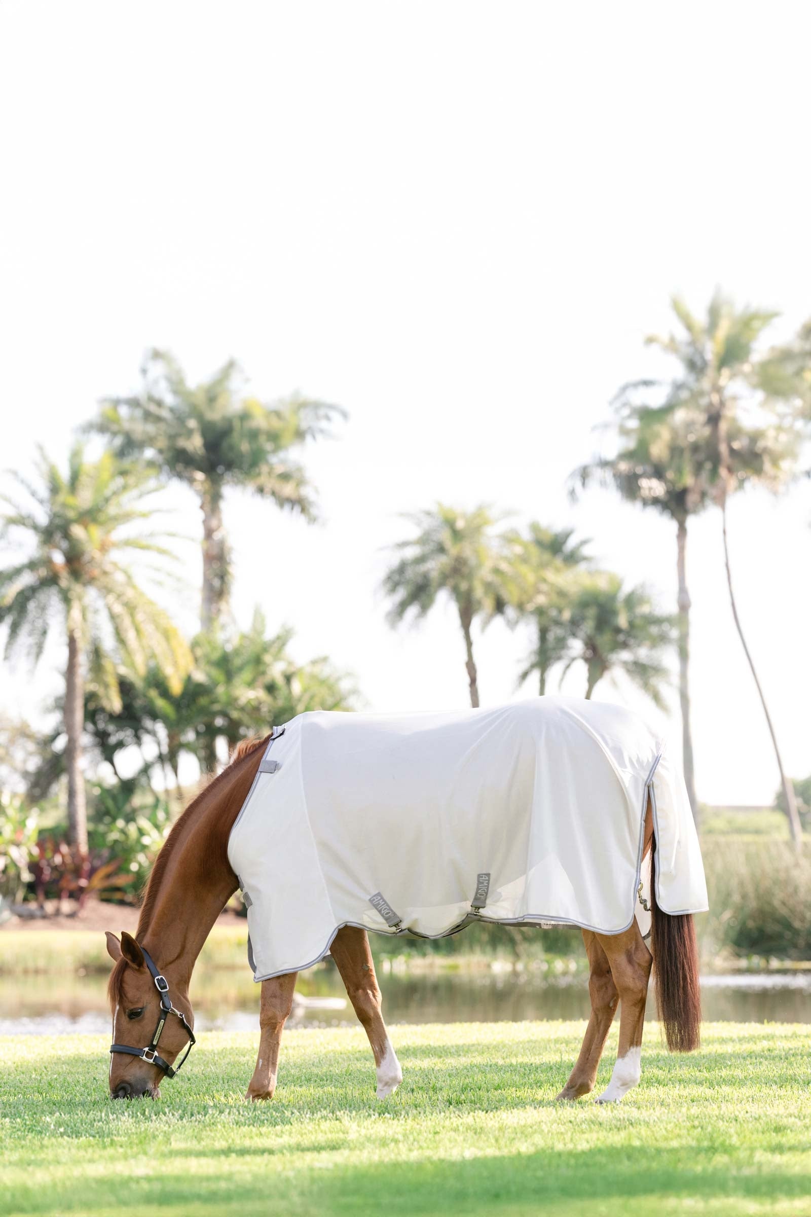 Horseware Amigo Bug Rug With UV-Protection Horse Rugs