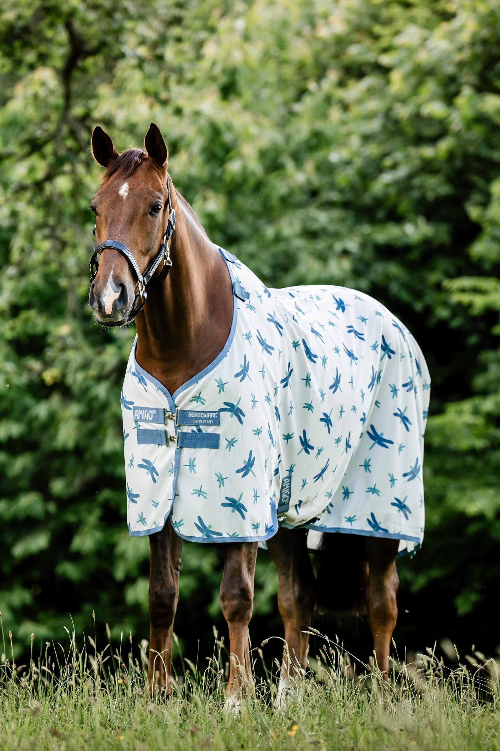 Horseware Amigo fluedækken med UV-beskyttelse Hestedækken
