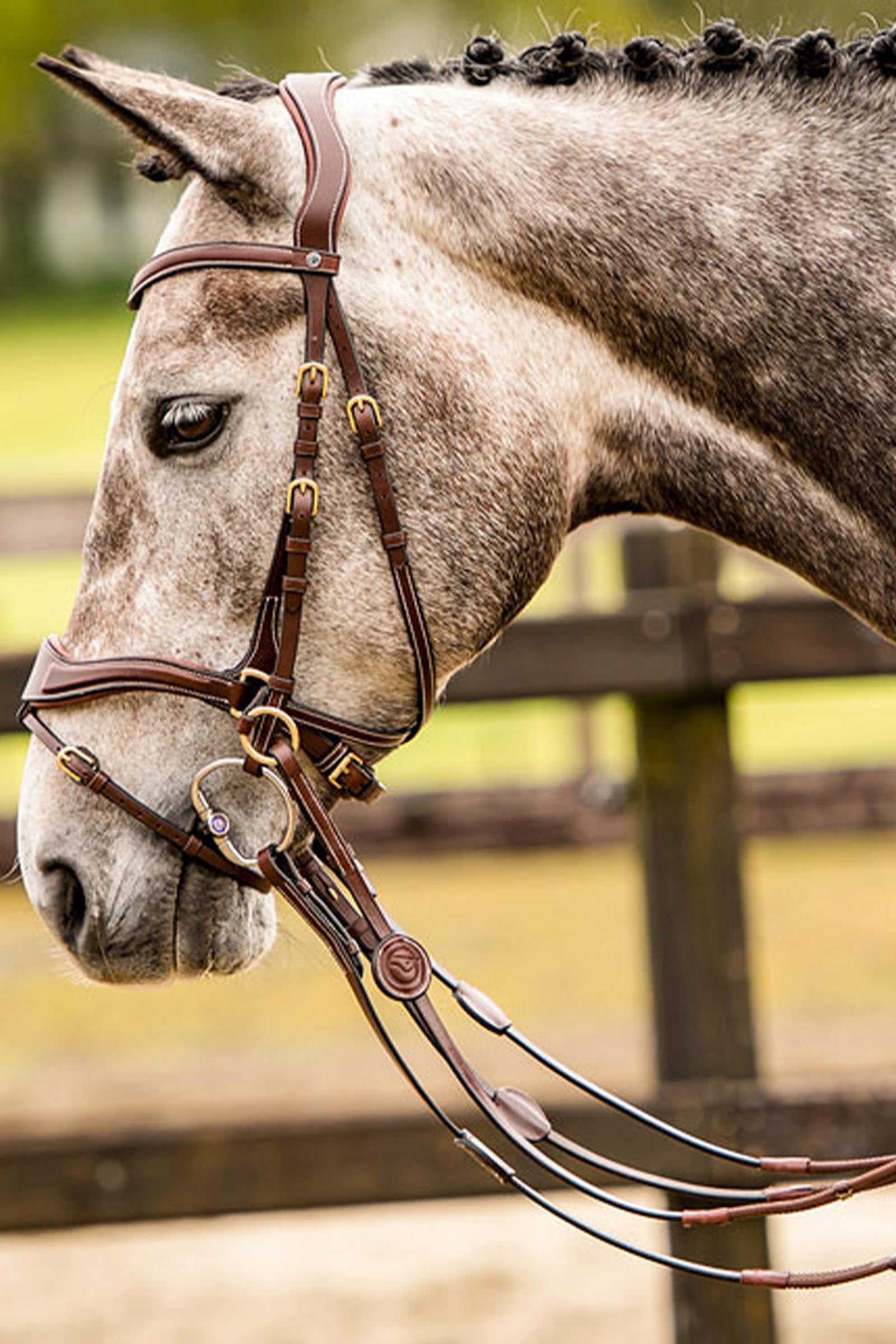 Trust Equestrian Falsterbo T-motion Bridle Bridles & Reins
