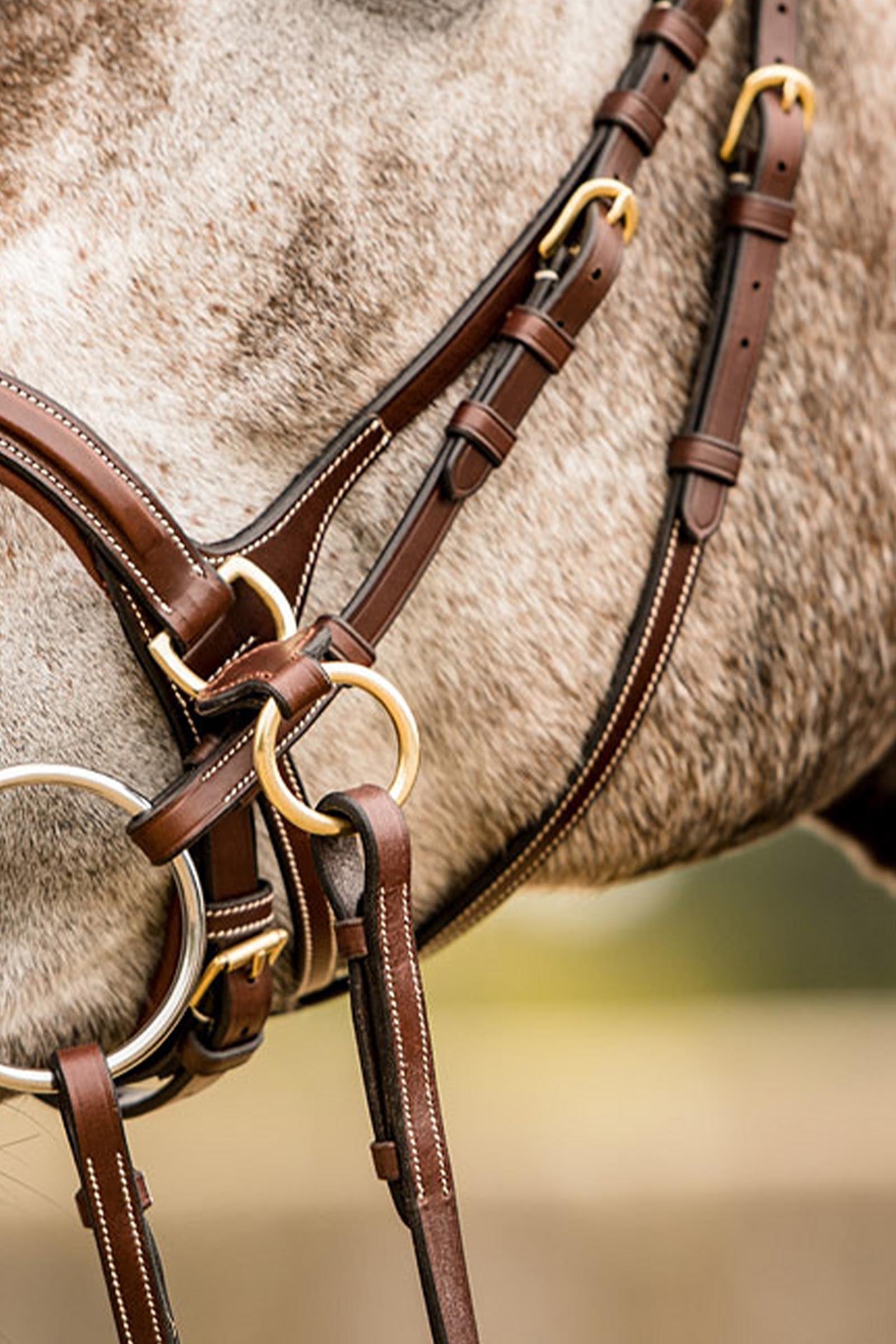 Trust Equestrian Falsterbo T-motion Bridle Bridles & Reins