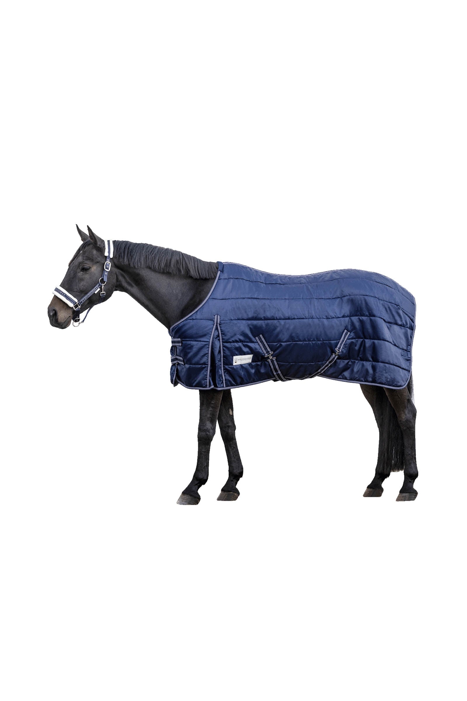 Waldhausen Stable Rug Economic 300 g Hestedækken
