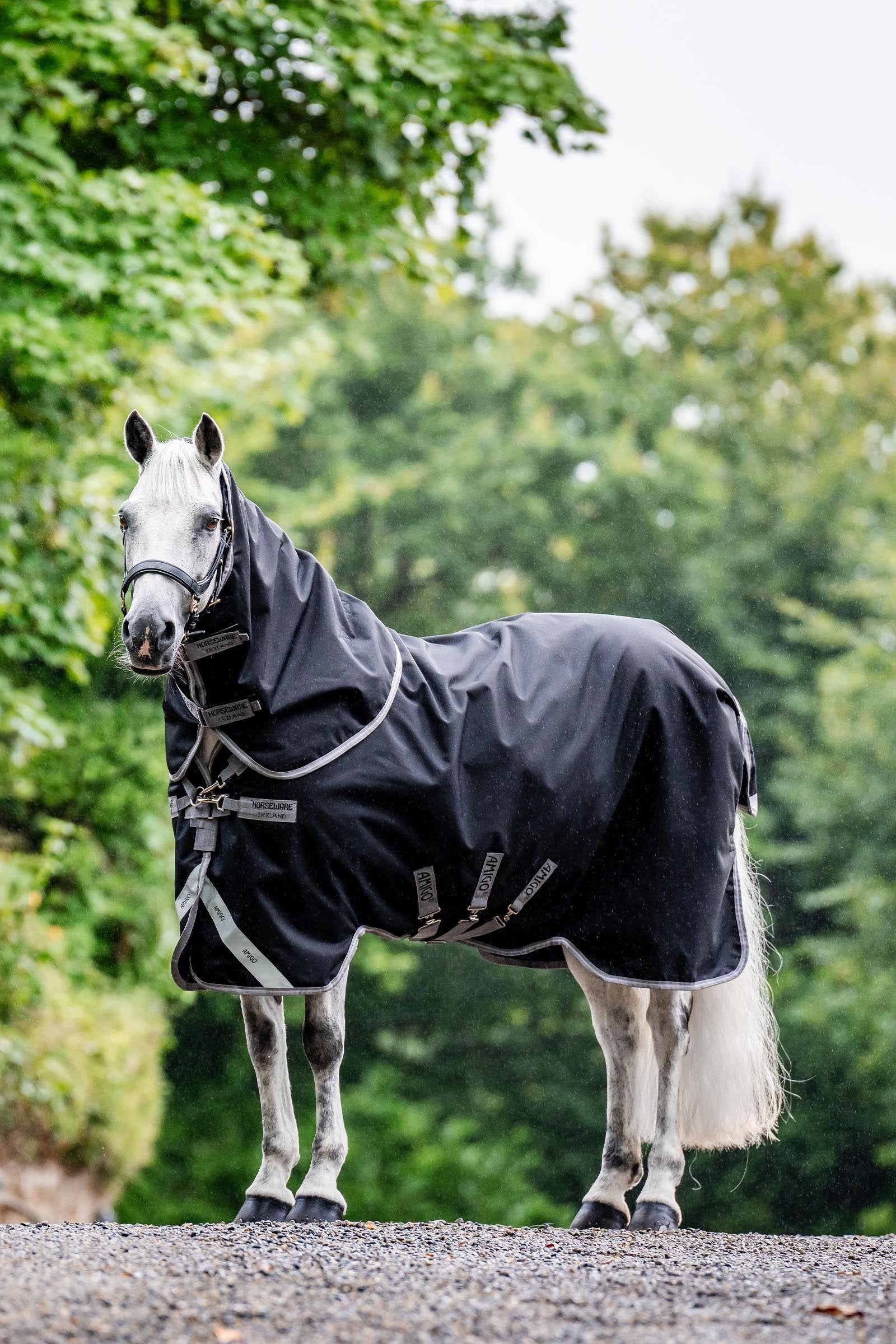 Horseware Amigo Bravo 12 Plus Turnout Rug, 250 g Horse Rugs
