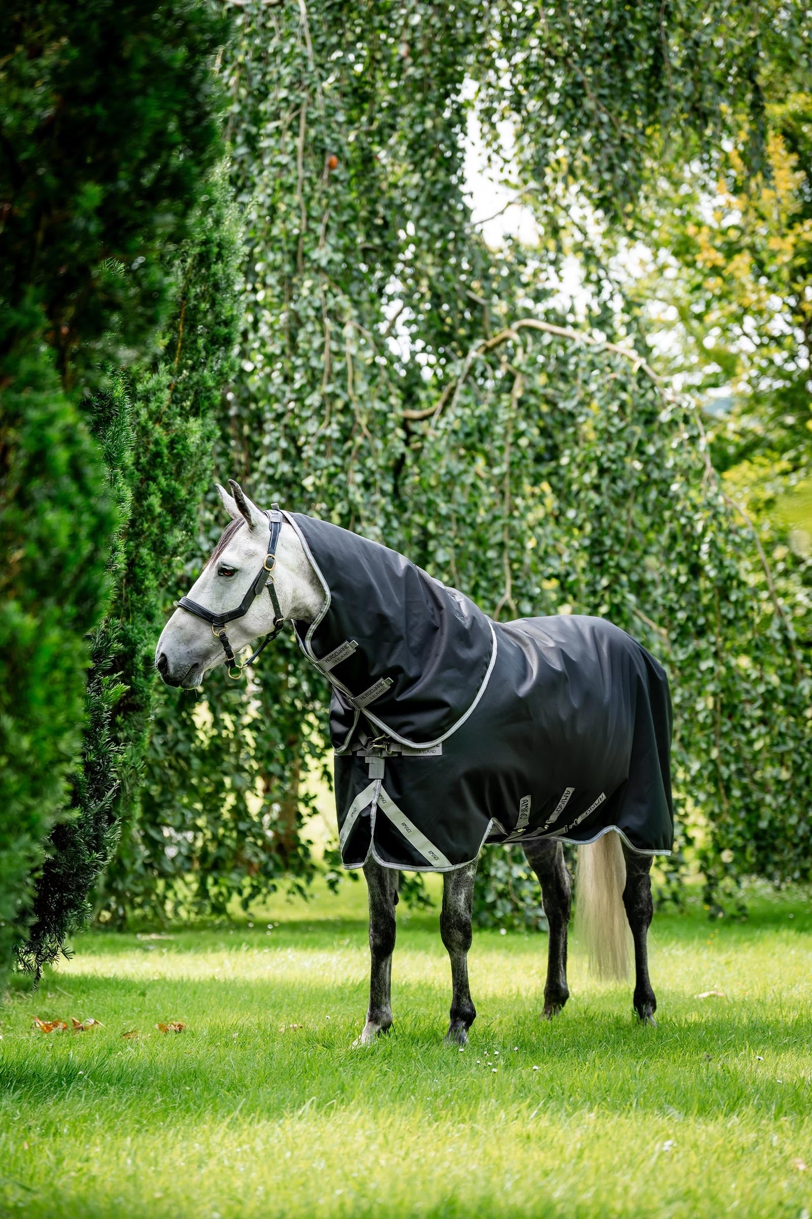 Horseware Amigo Bravo 12 Plus Turnout Rug, 250 g Horse Rugs