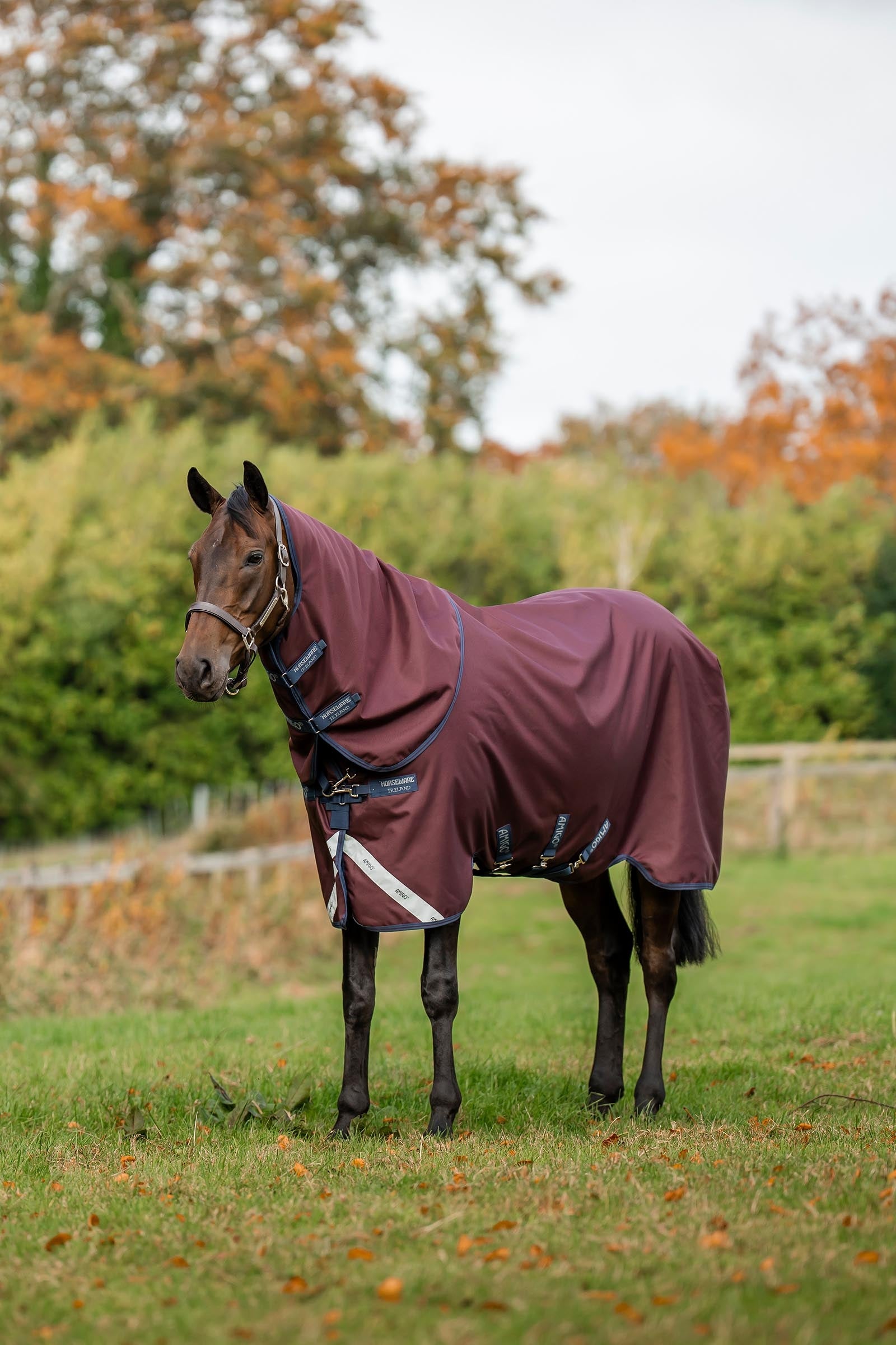 Horseware Amigo Bravo 12 Plus Turnout Rug, 250 g Horse Rugs