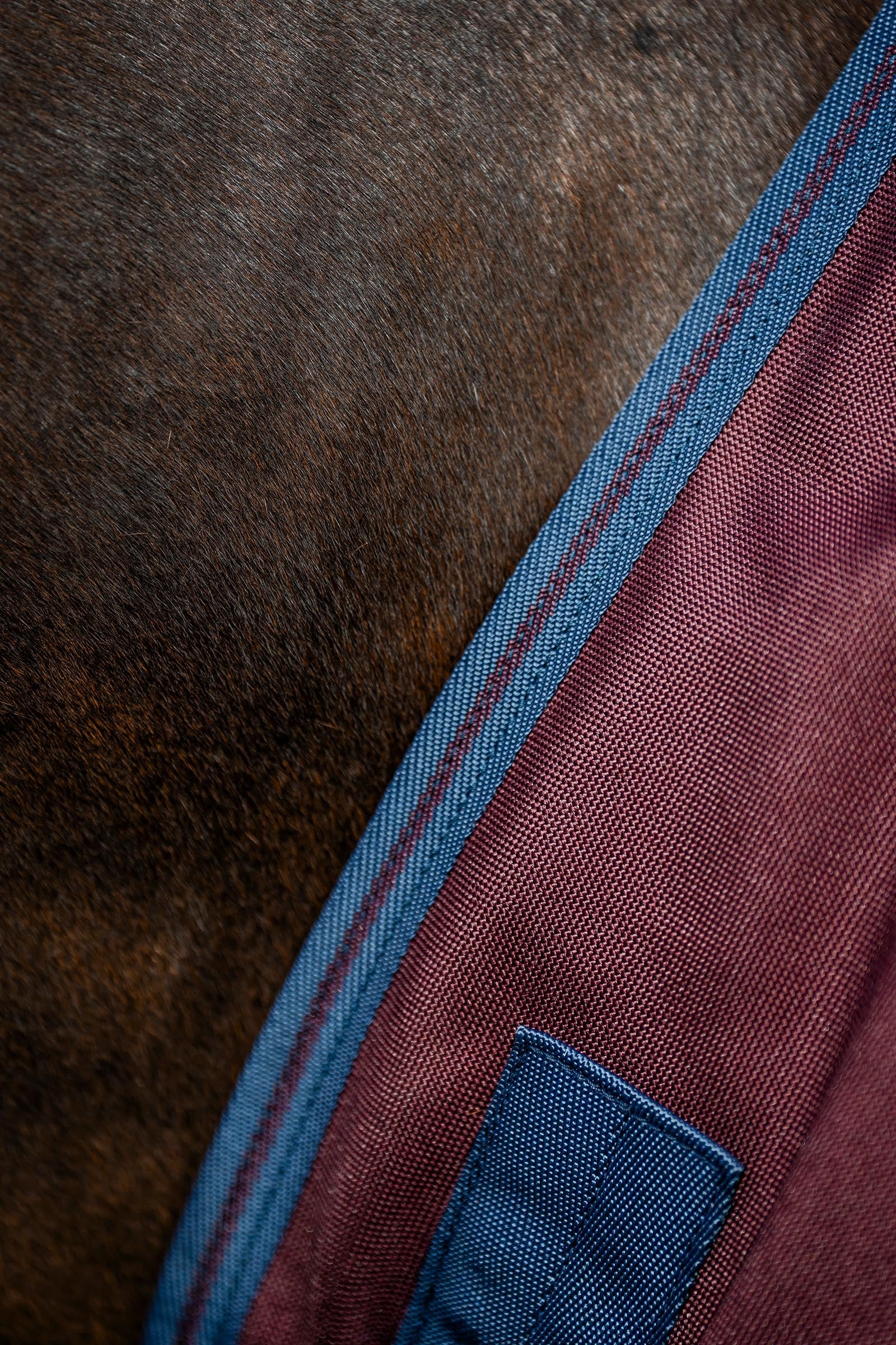 Horseware Amigo Bravo 12 Plus Turnout Rug, 250 g Horse Rugs