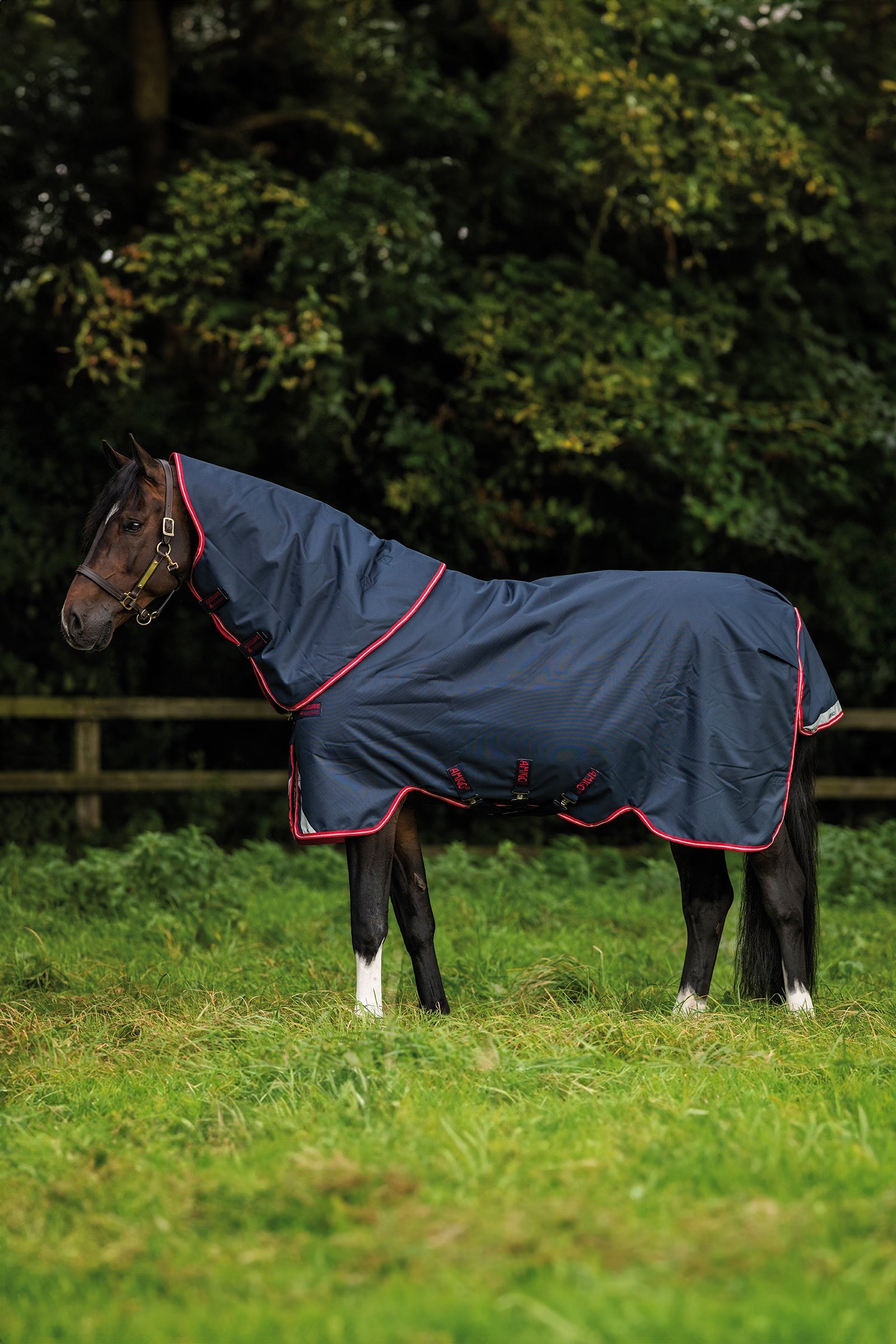 Horseware Amigo Bravo 12 Plus udedækken, 250 g Hestedækken