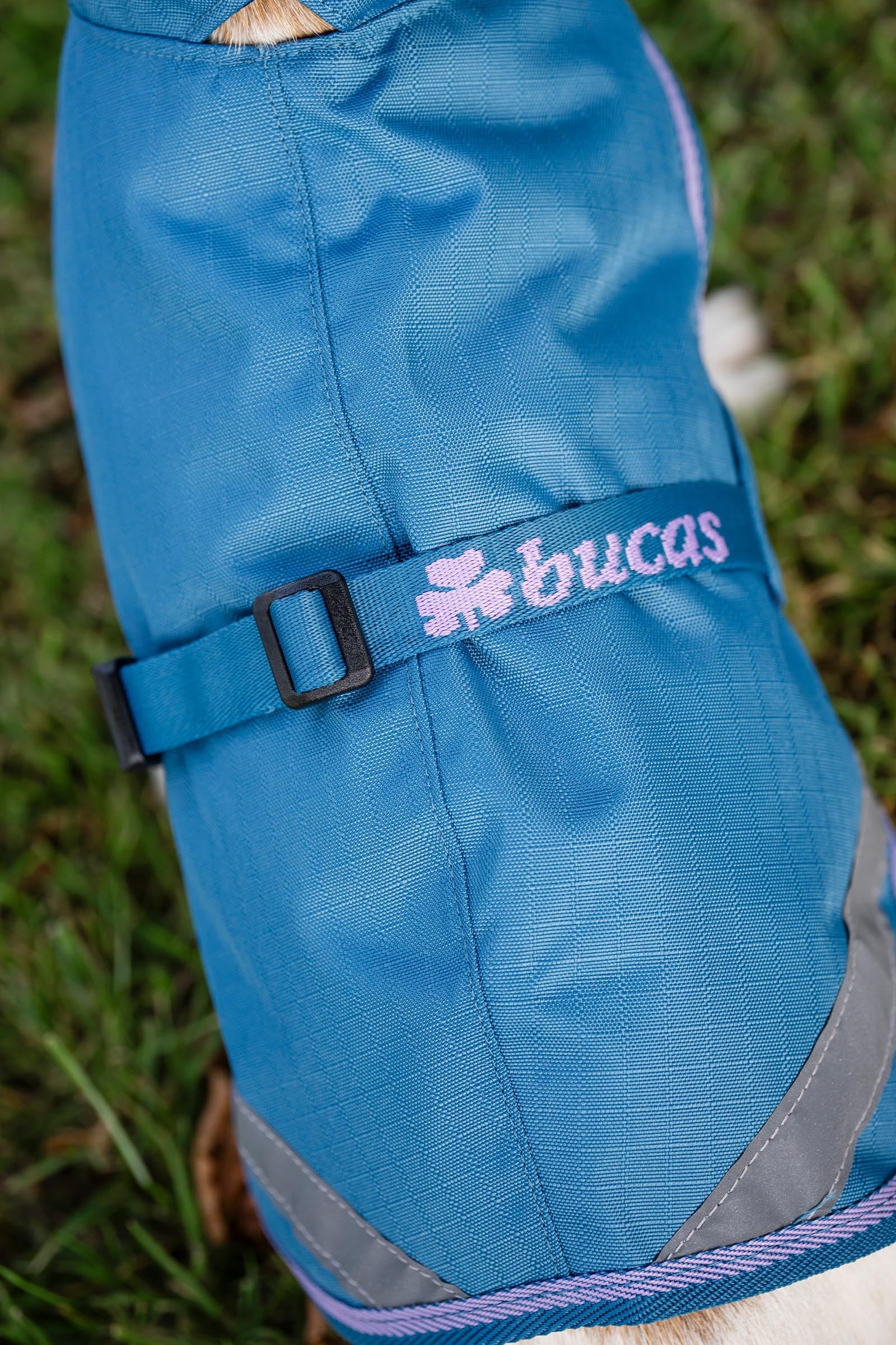 Bucas Freedom Dog Rug, 50g  (50-75 cm) Dog Accesories