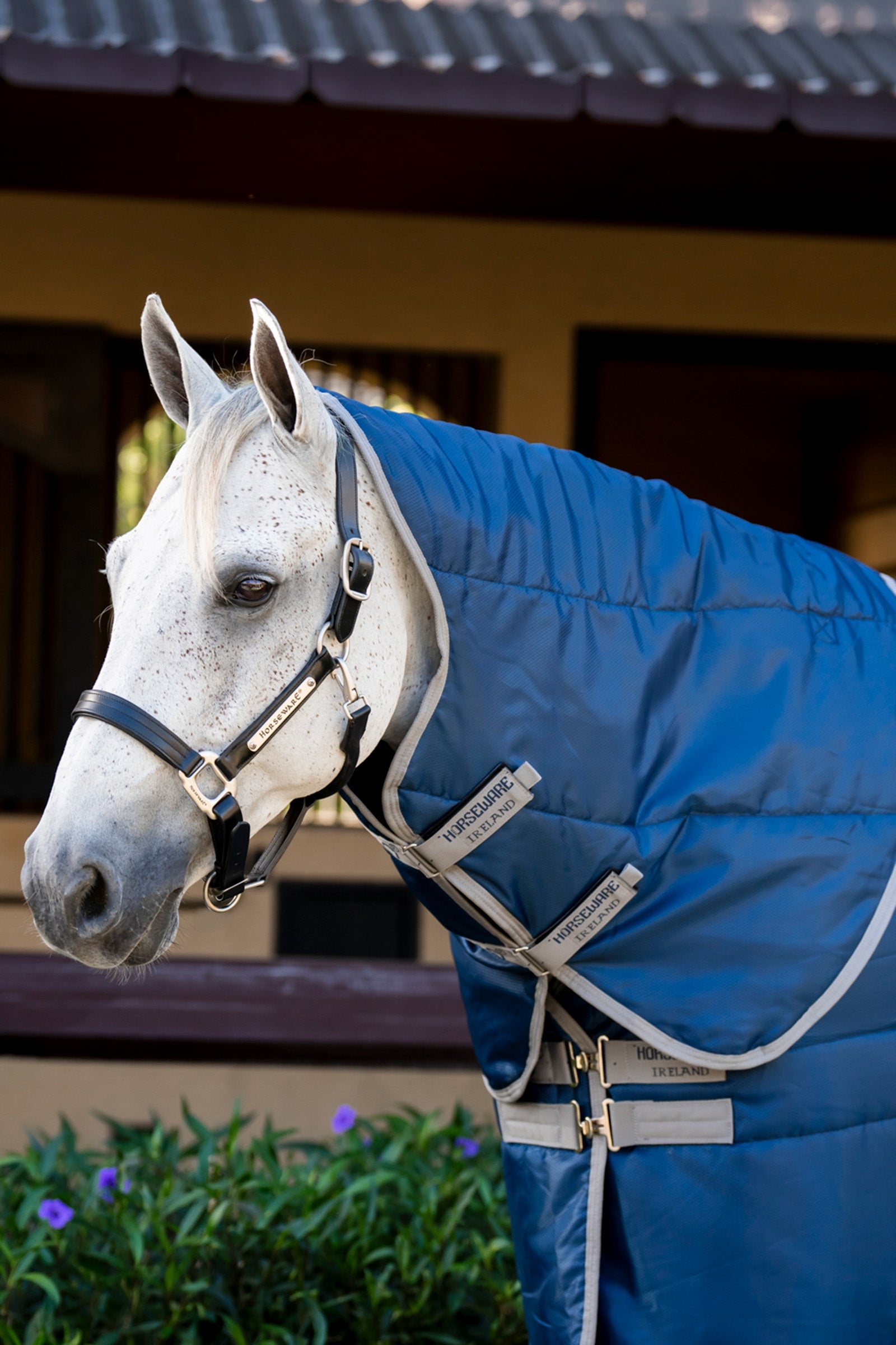 Horseware Amigo Ripstop Insulator staldhætte, 100 g Hestedækken