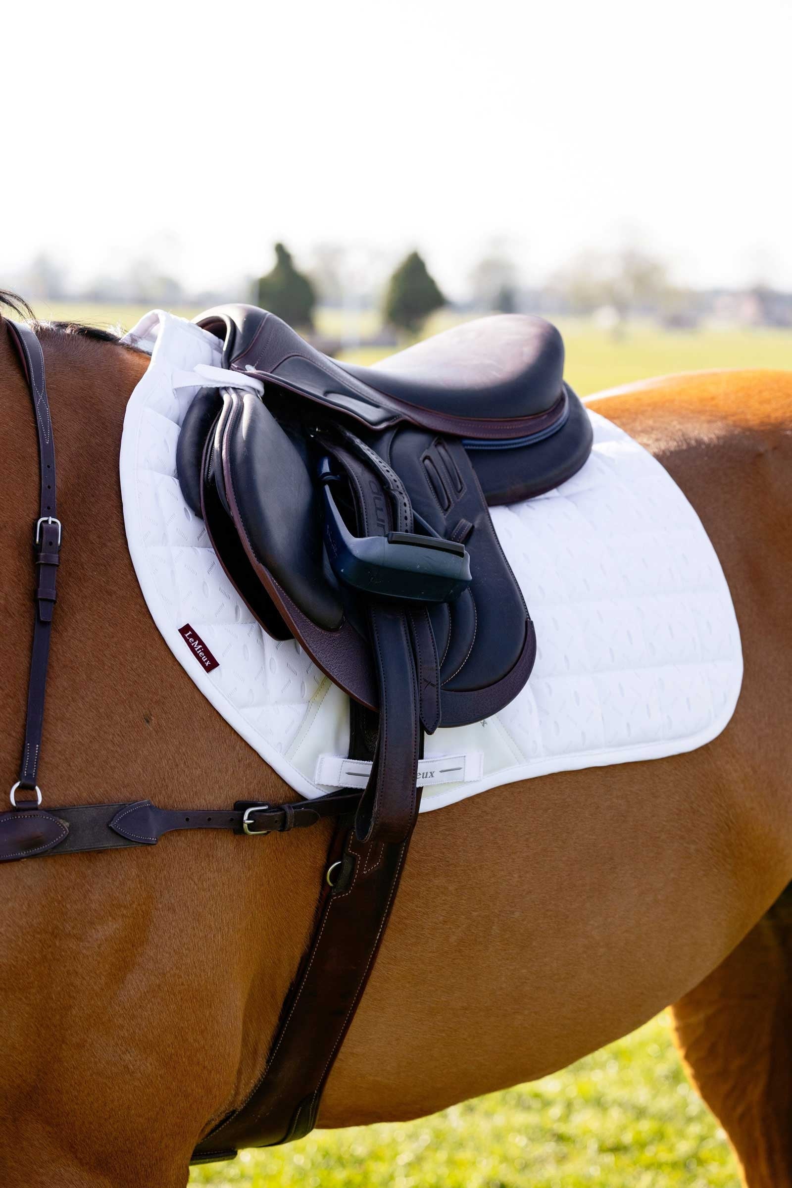 LeMieux 3D Mesh Self-Cool Eurojump Saddle Pad Saddle Pads