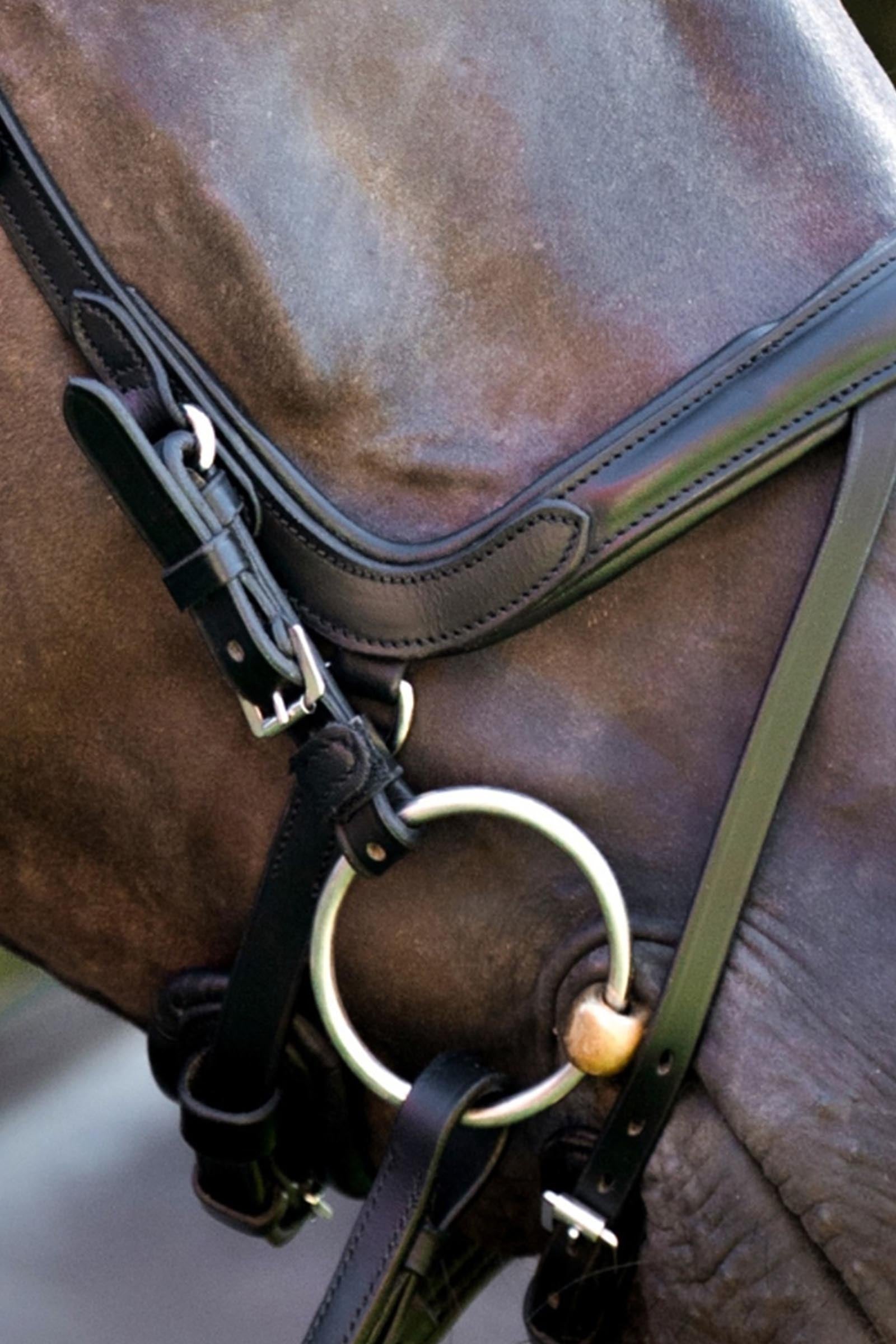 Kavalkade Cajus English Anatomic Combined Bridle Bridles & Reins