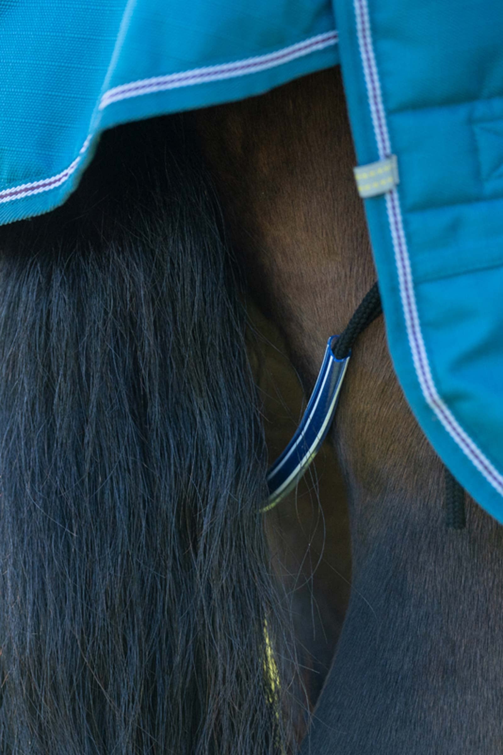 Kavalkade Alaska IV Turnout Rug, 100 g Horse Rugs