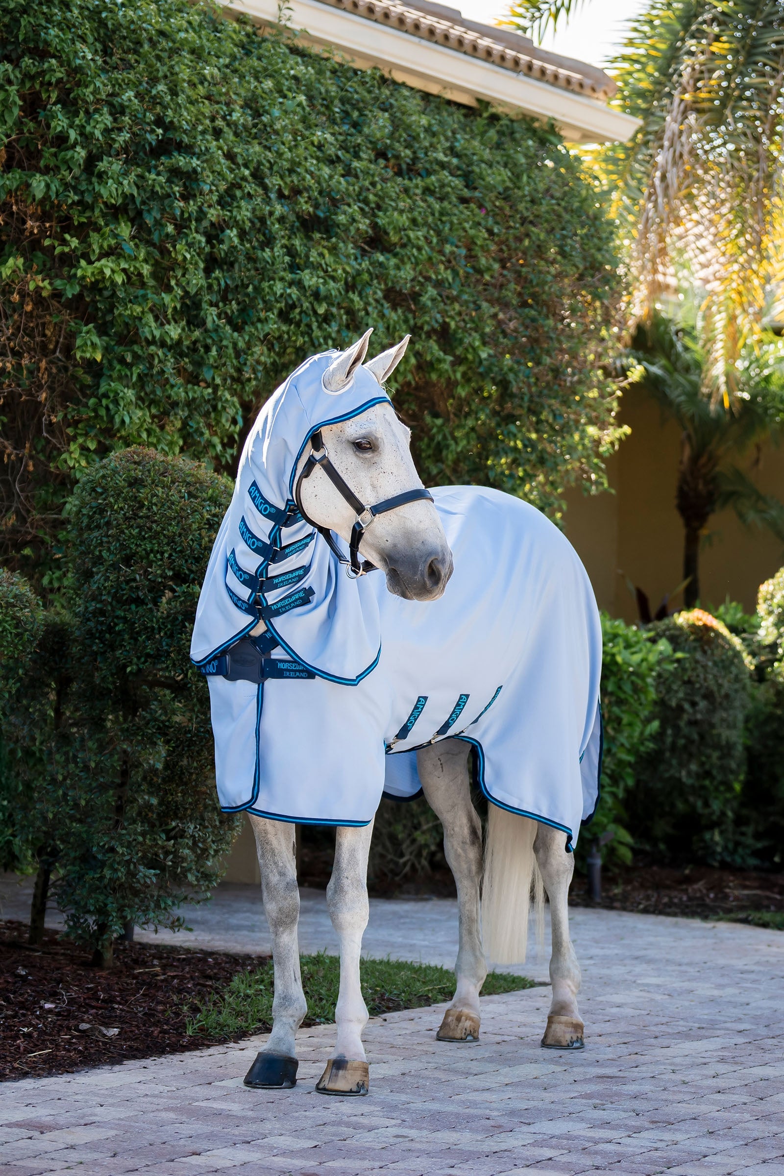 Horseware Amigo Ripstop Fluedækken Hestedækken