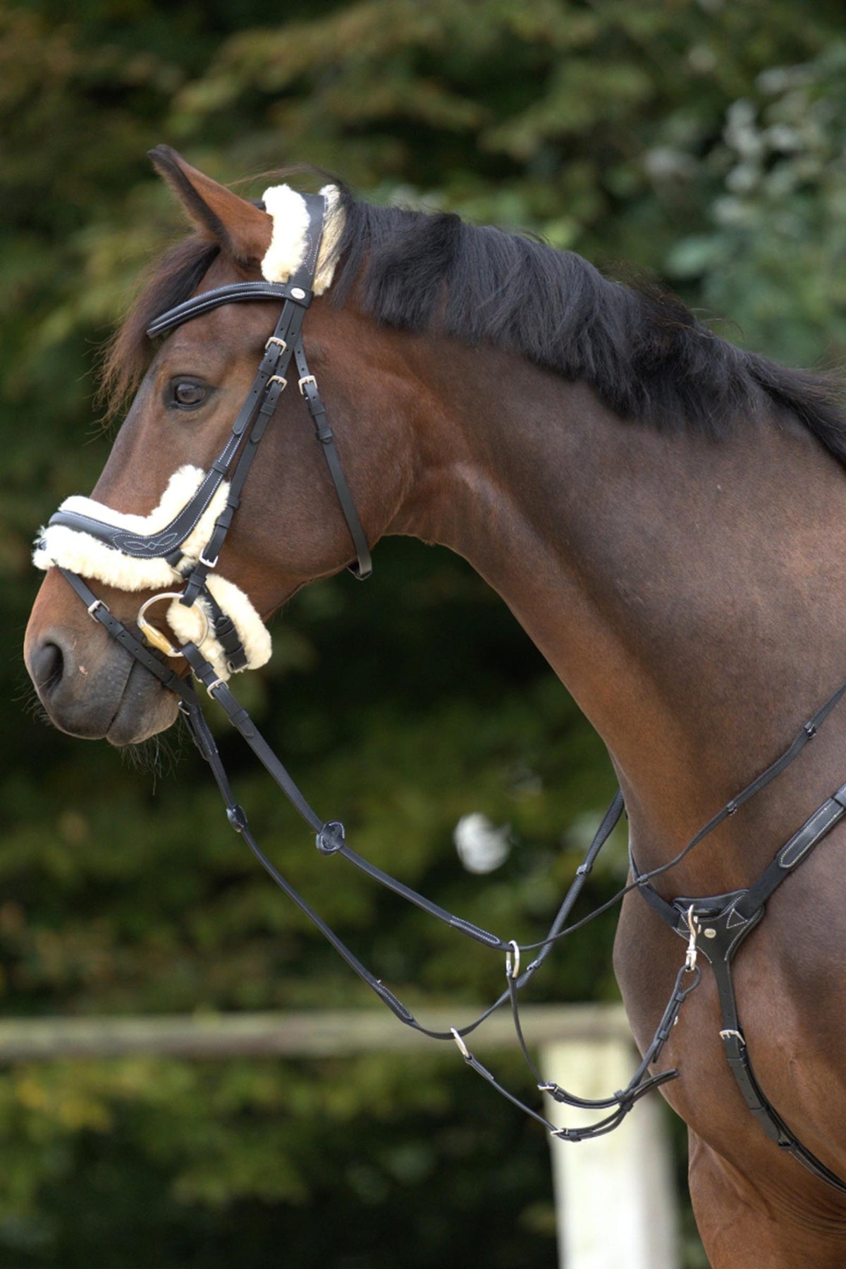 Kavalkade Bianca 5-Pt. Breastplate With Elastic Bridles & Reins