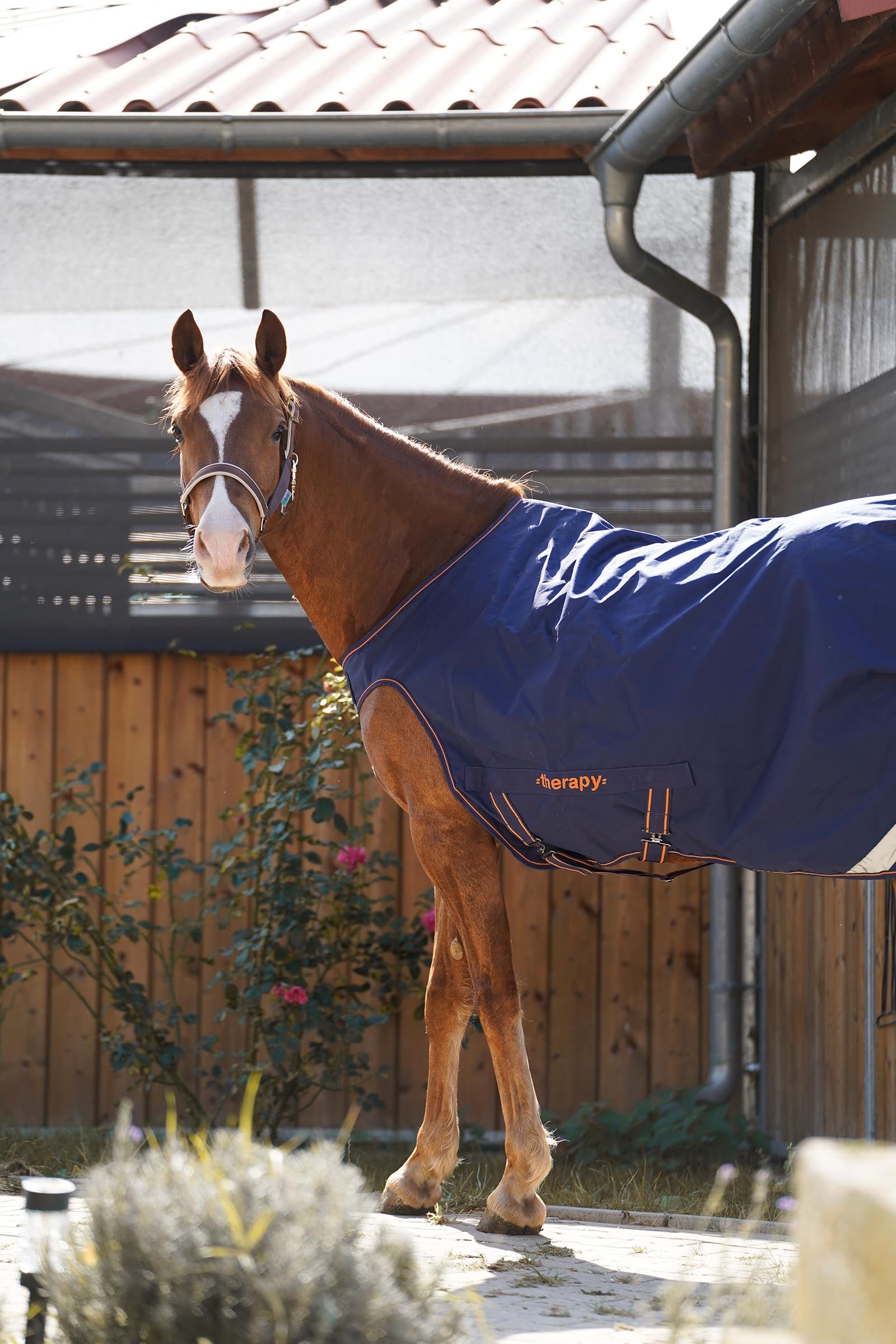 Bucas Therapy Walker Rug Horse Rugs