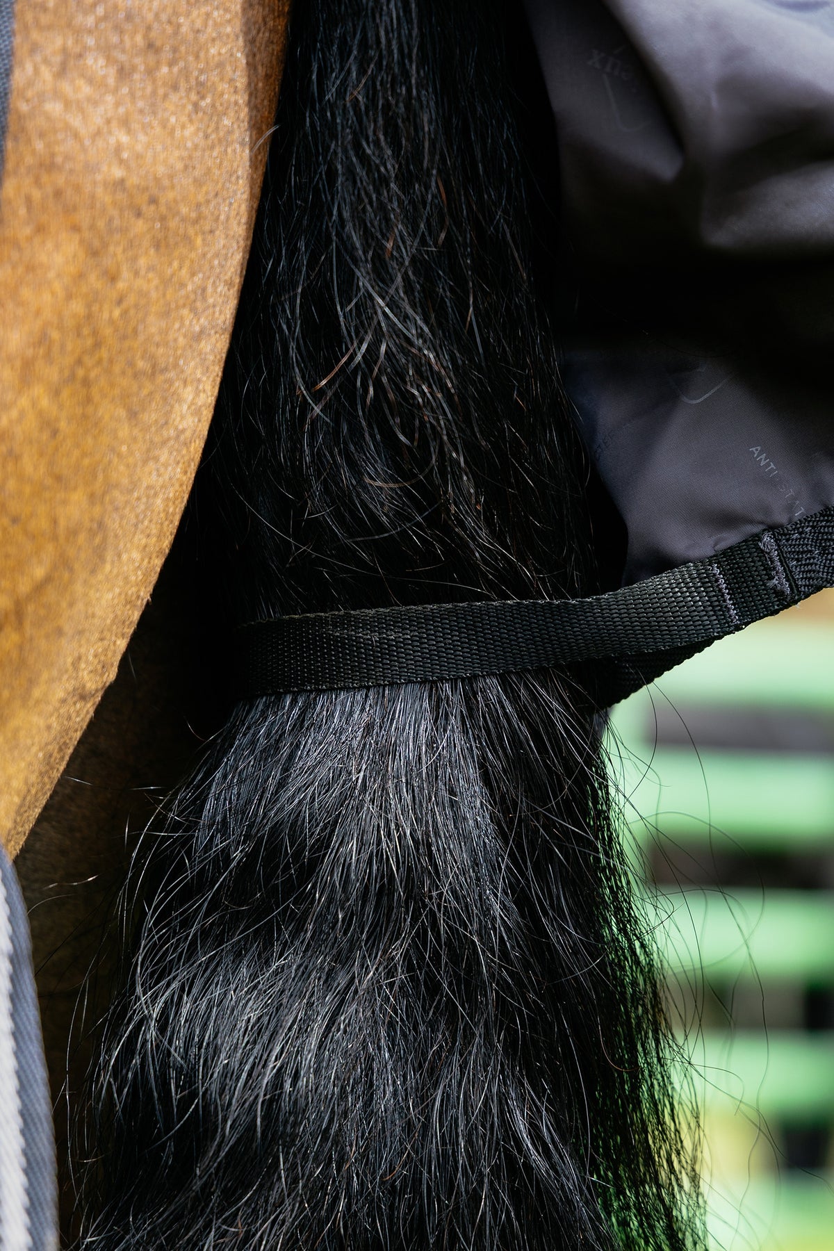 LeMieux Arika Heritage Check Turnout Rug, 100 g Horse Rugs