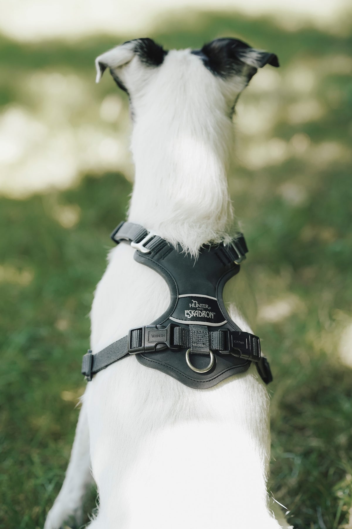 Eskadron Hunter x ESKADRON MOTION REFLECT Dog Harness Dog Accesories