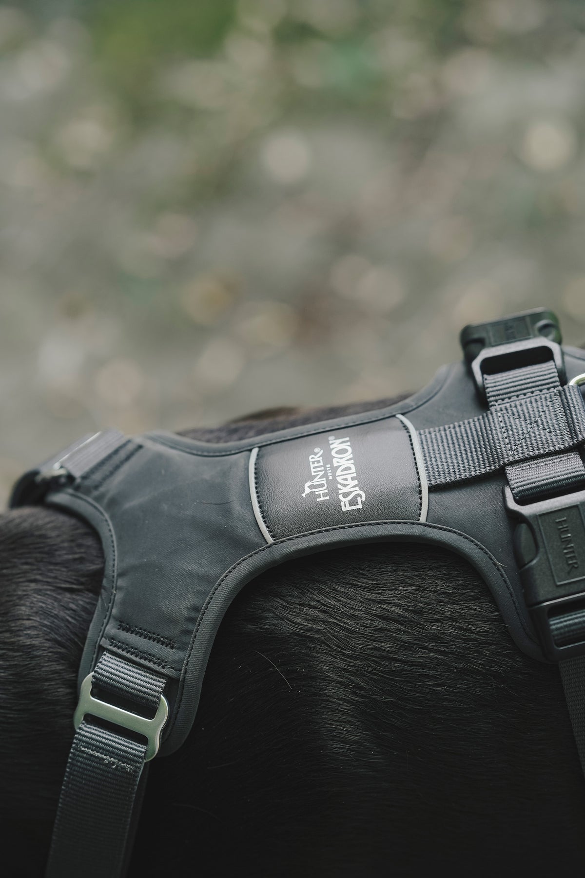 Eskadron Hunter x ESKADRON MOTION REFLECT Dog Harness Dog Accesories