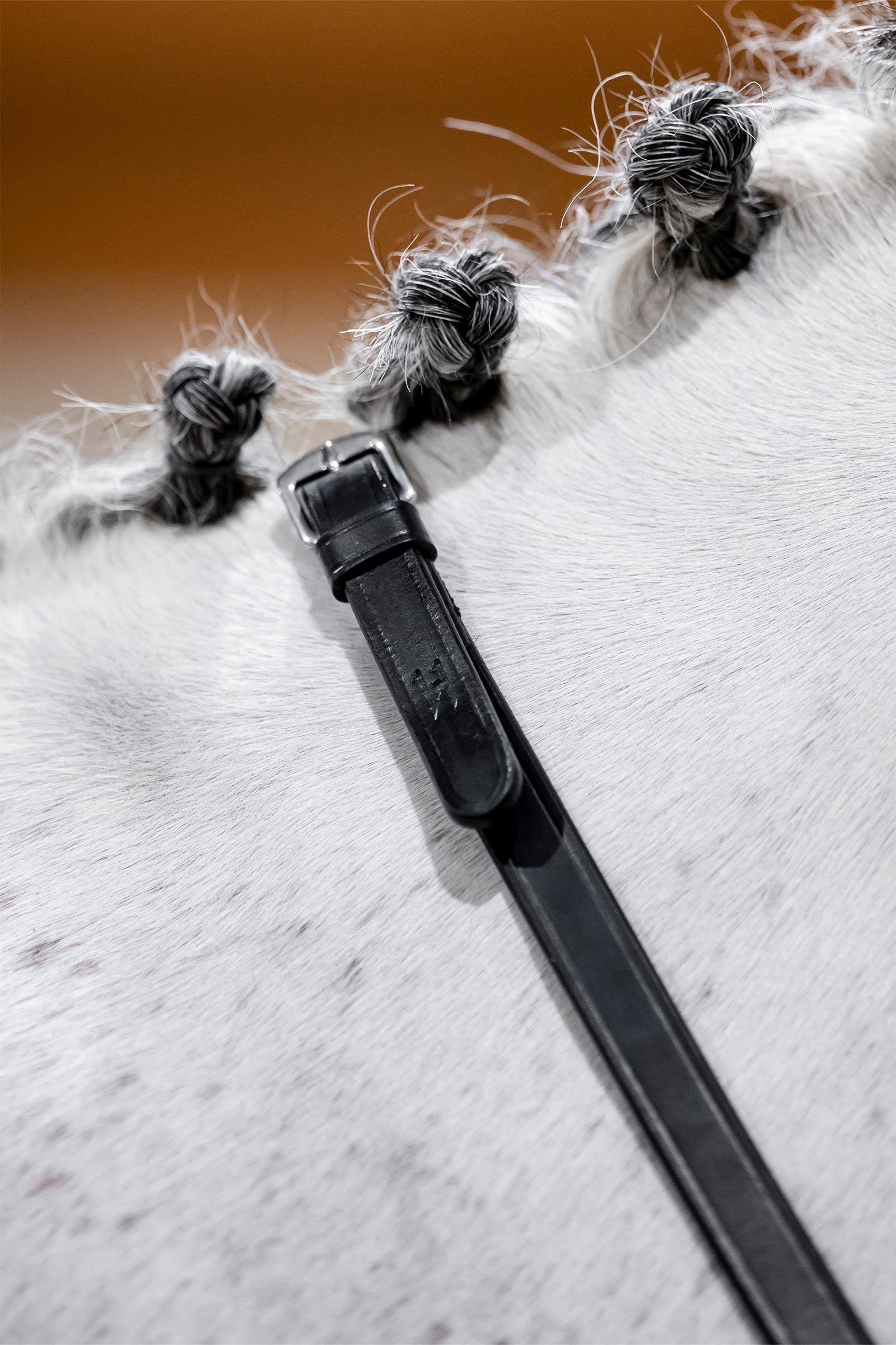 Horseware kandar tøjler Trenser & tøjler