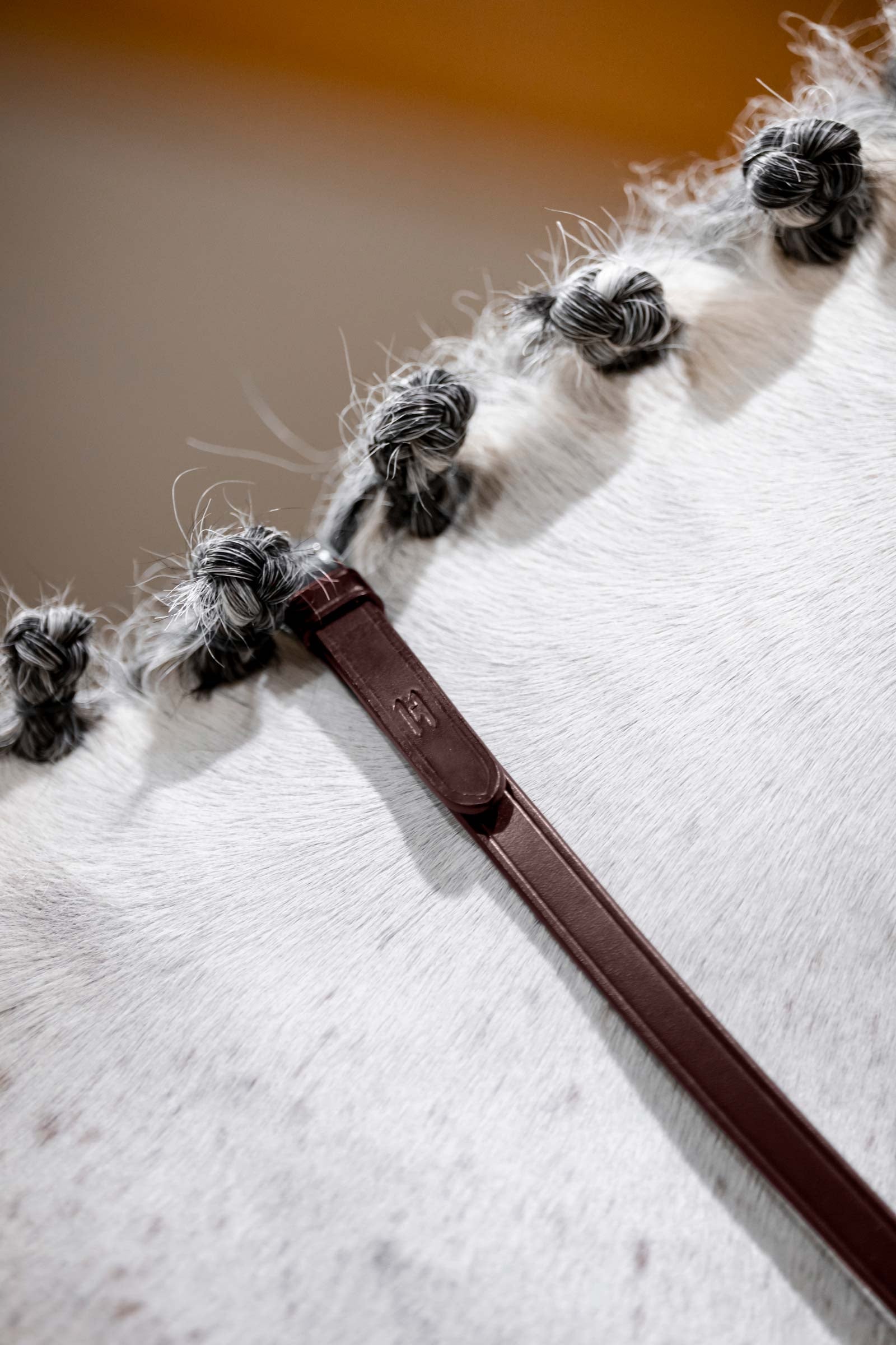Horseware kandar tøjler Trenser & tøjler