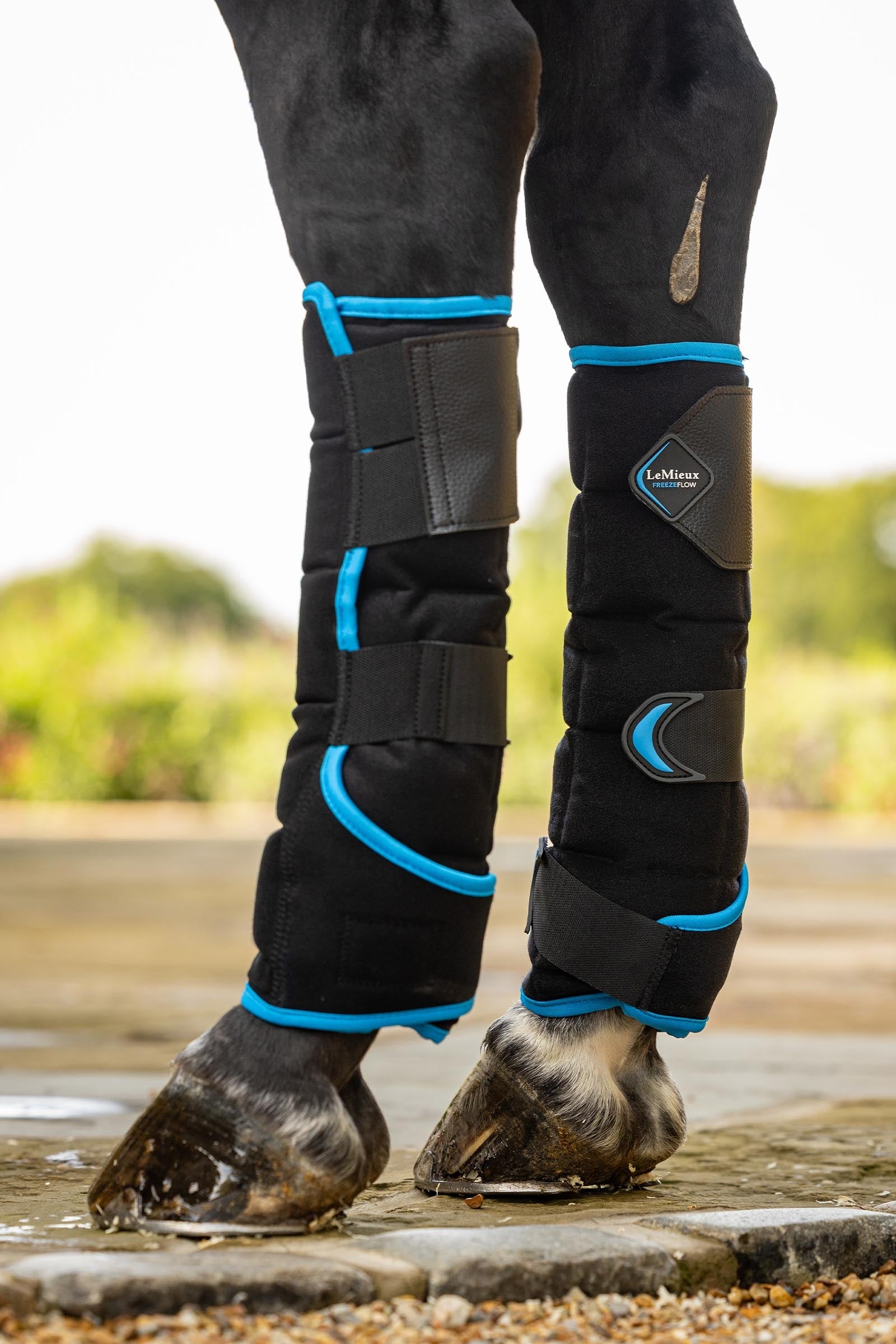 LeMieux Freeze Flow køleboots bag Leg & Hoof Protection
