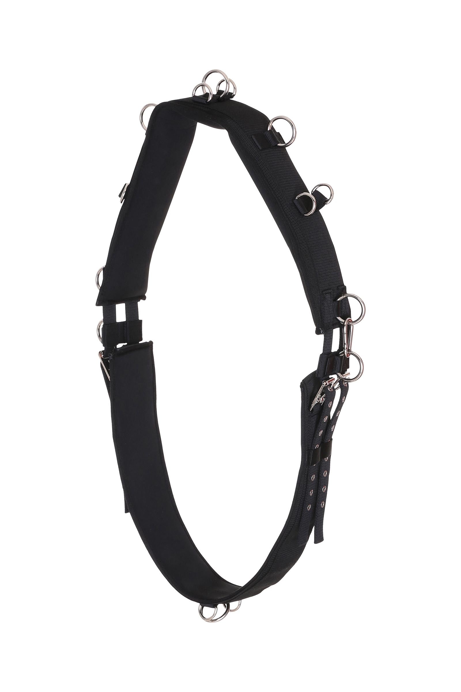 Horse Guard HorseGuard Lunging Girth Sadler & gjorde