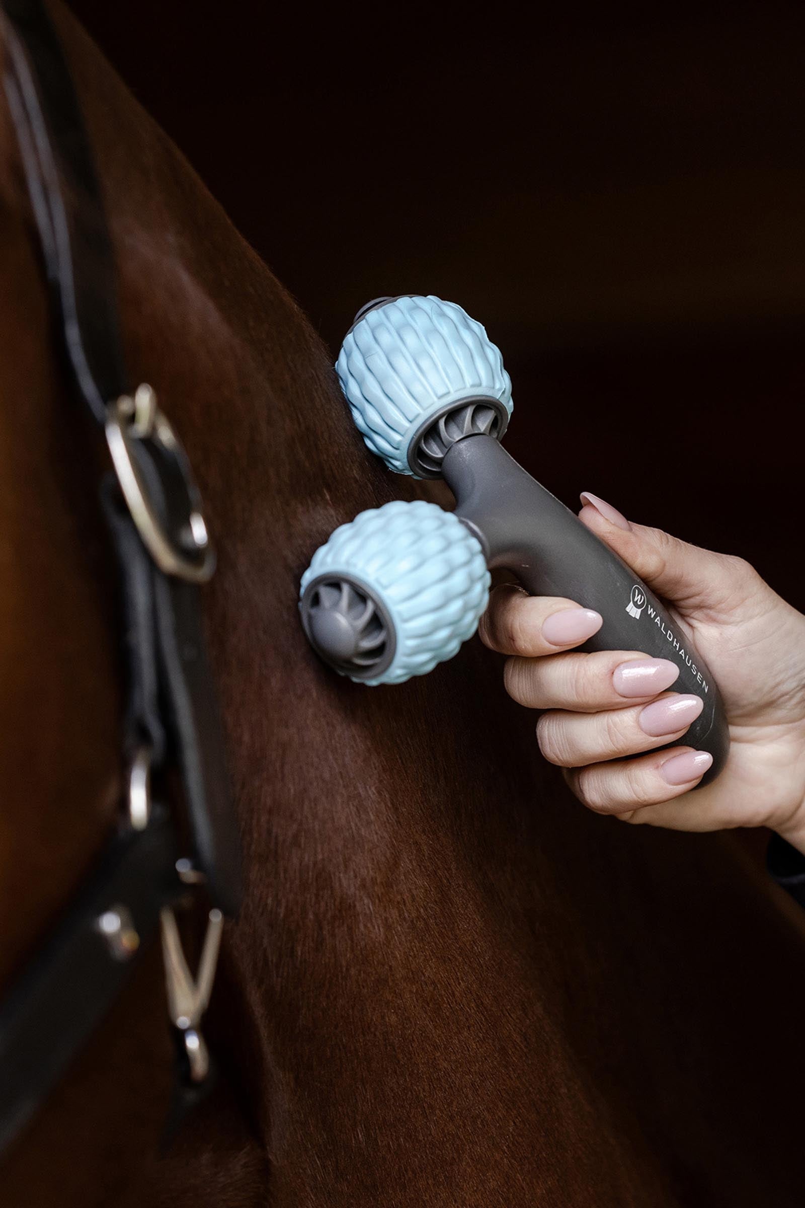 Waldhausen Health + Care Comfort Creator Stable Equipment