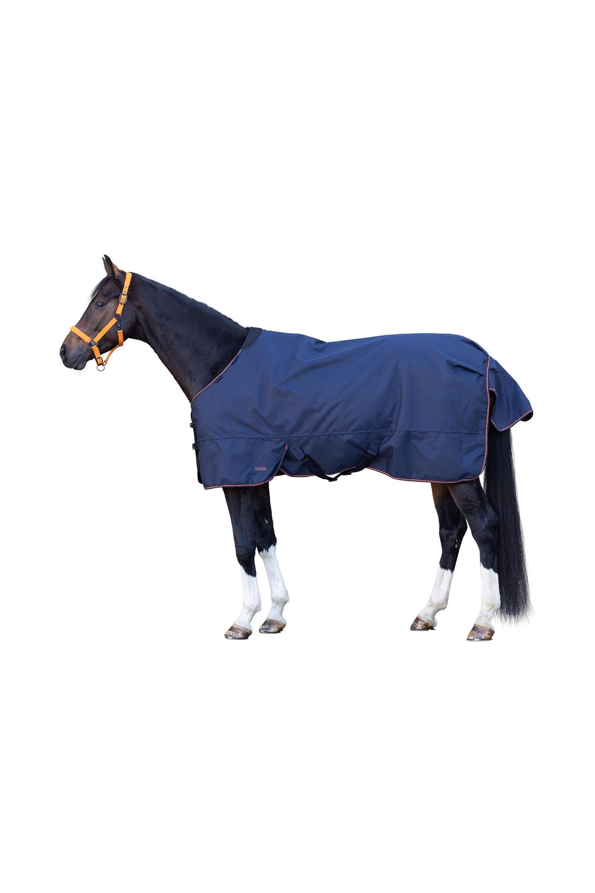 Covalliero FW26 Outdoor Horse Rug 50g Horse Rugs