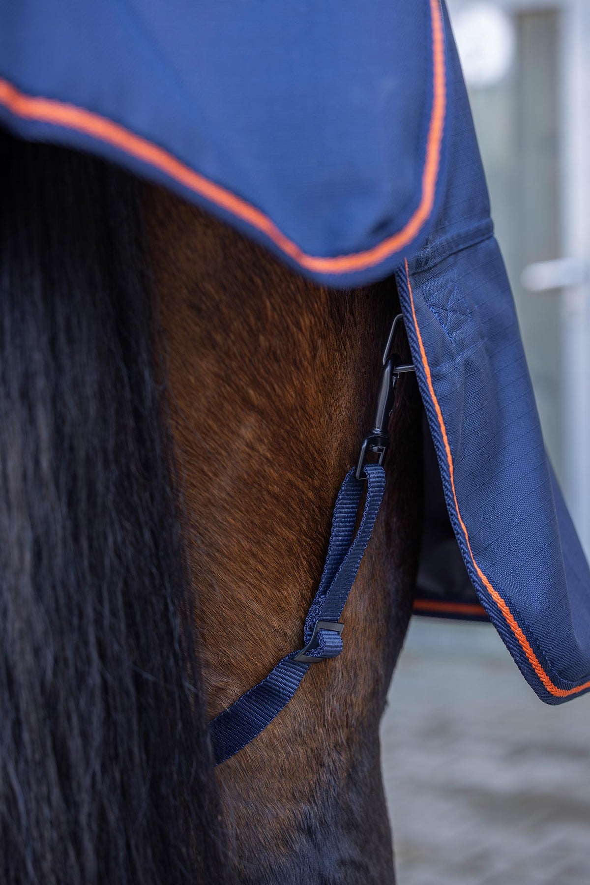 Covalliero FW26 Outdoor Horse Rug 50g Horse Rugs